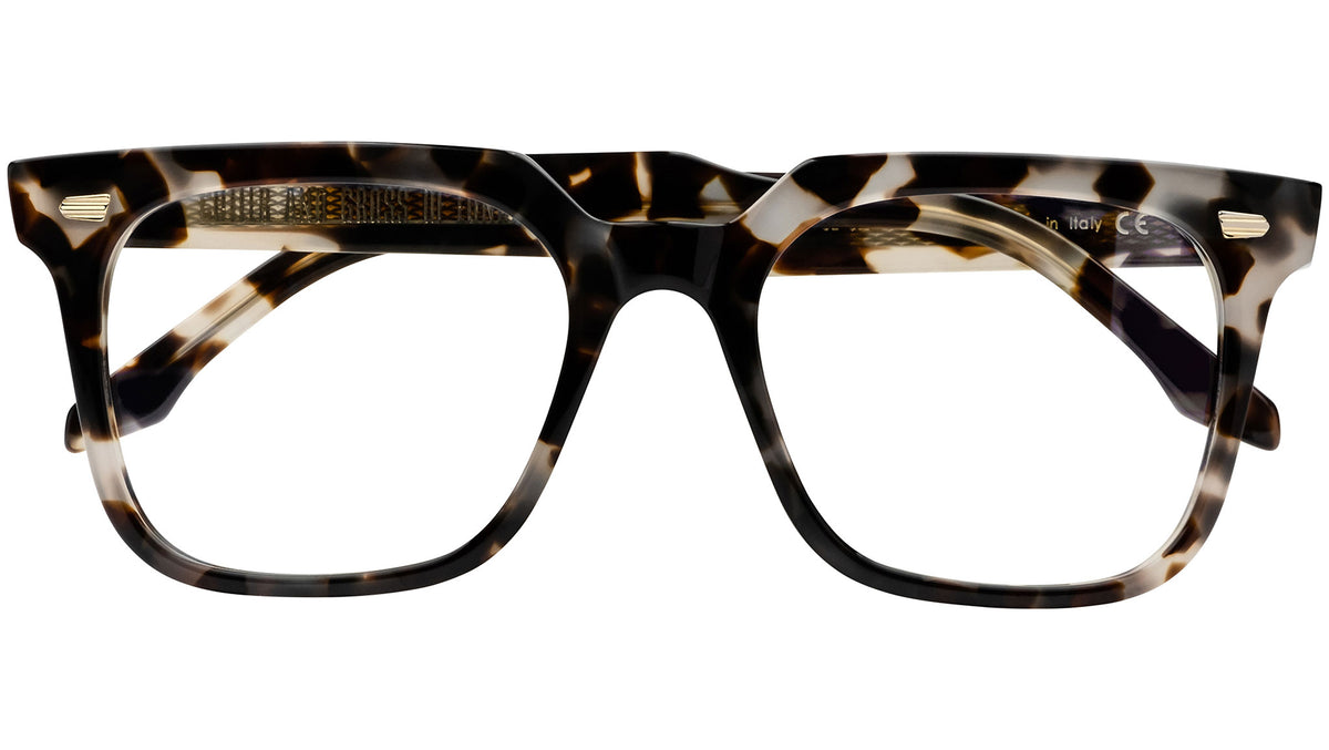 1387 Optical 02