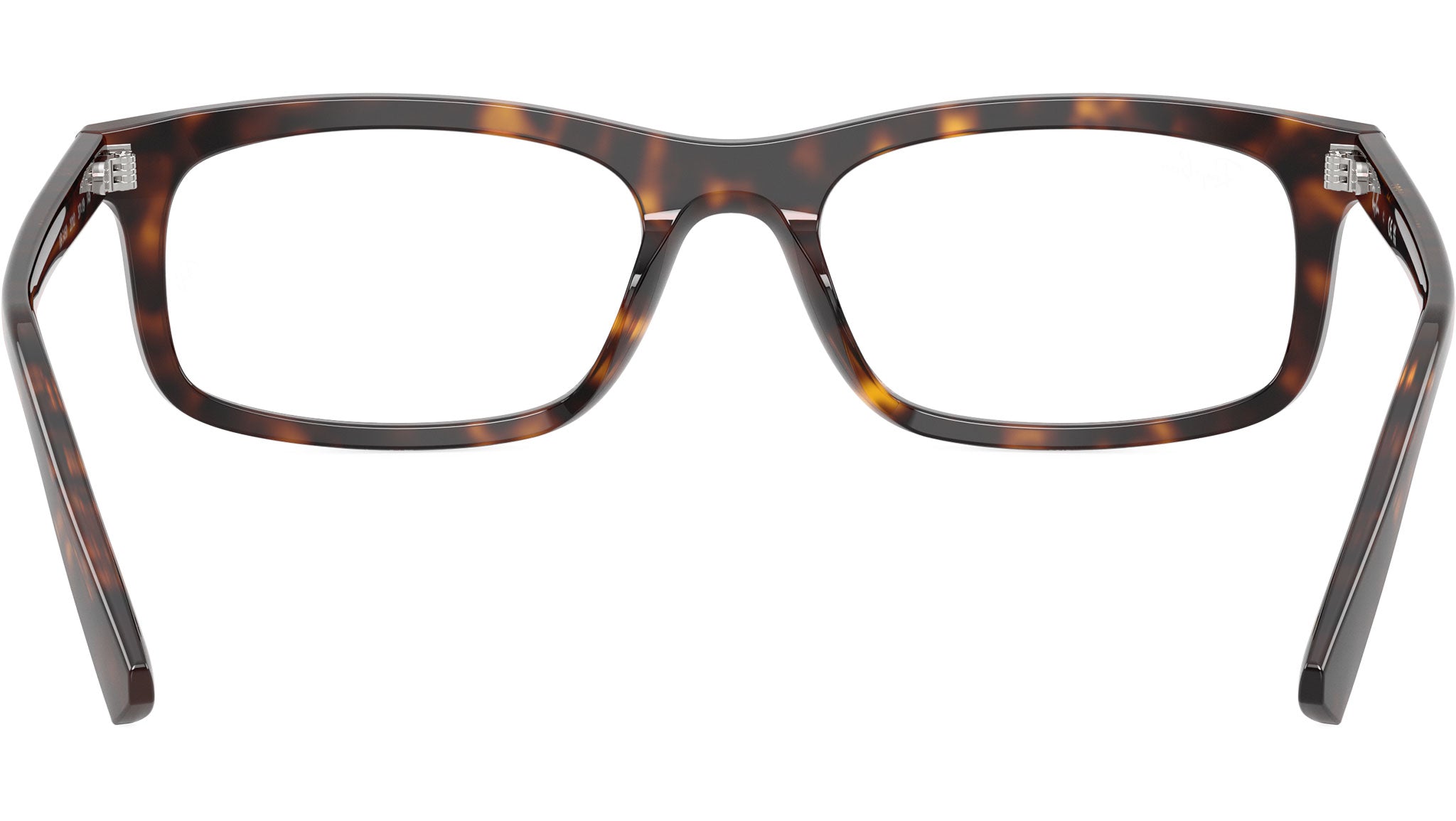RB5450 Optics 2012