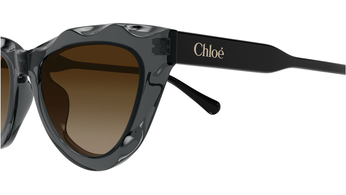 CH0294S 005