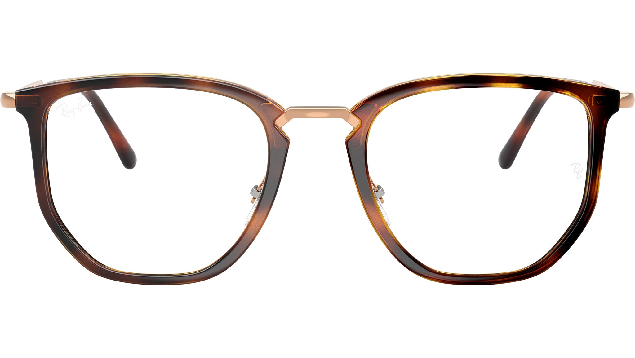 RB4451V Optics 5687