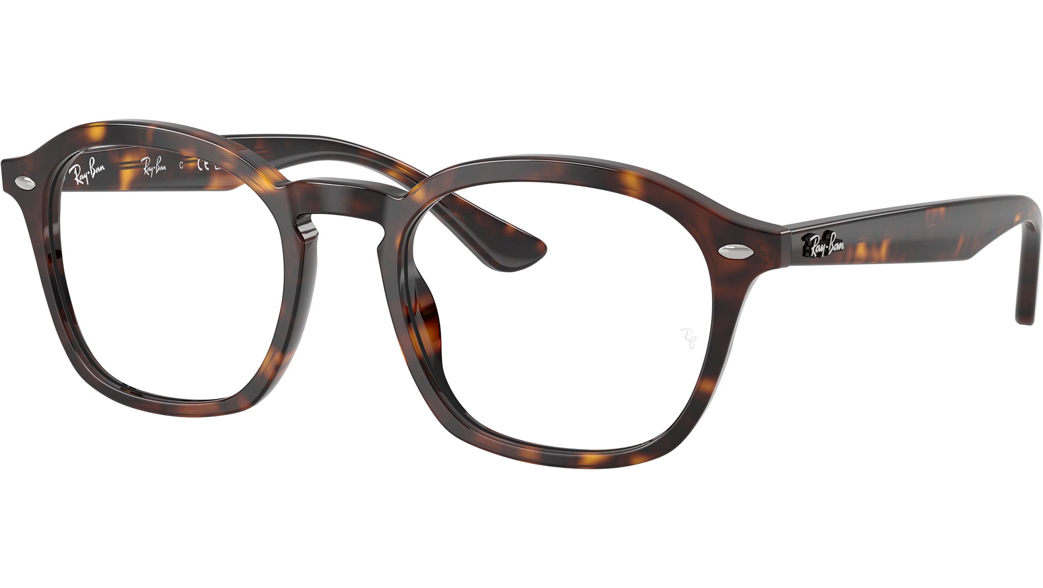 RB5451 Optics 2012