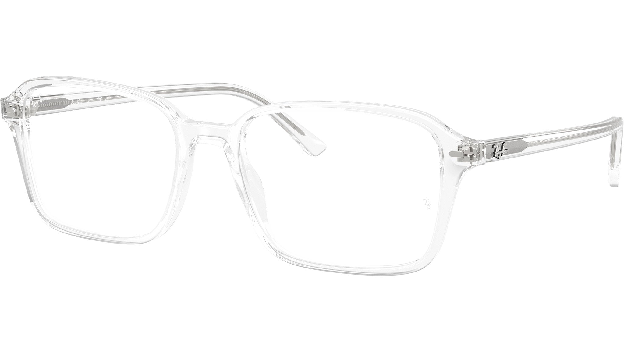 Raimond Optics RB5431 2001