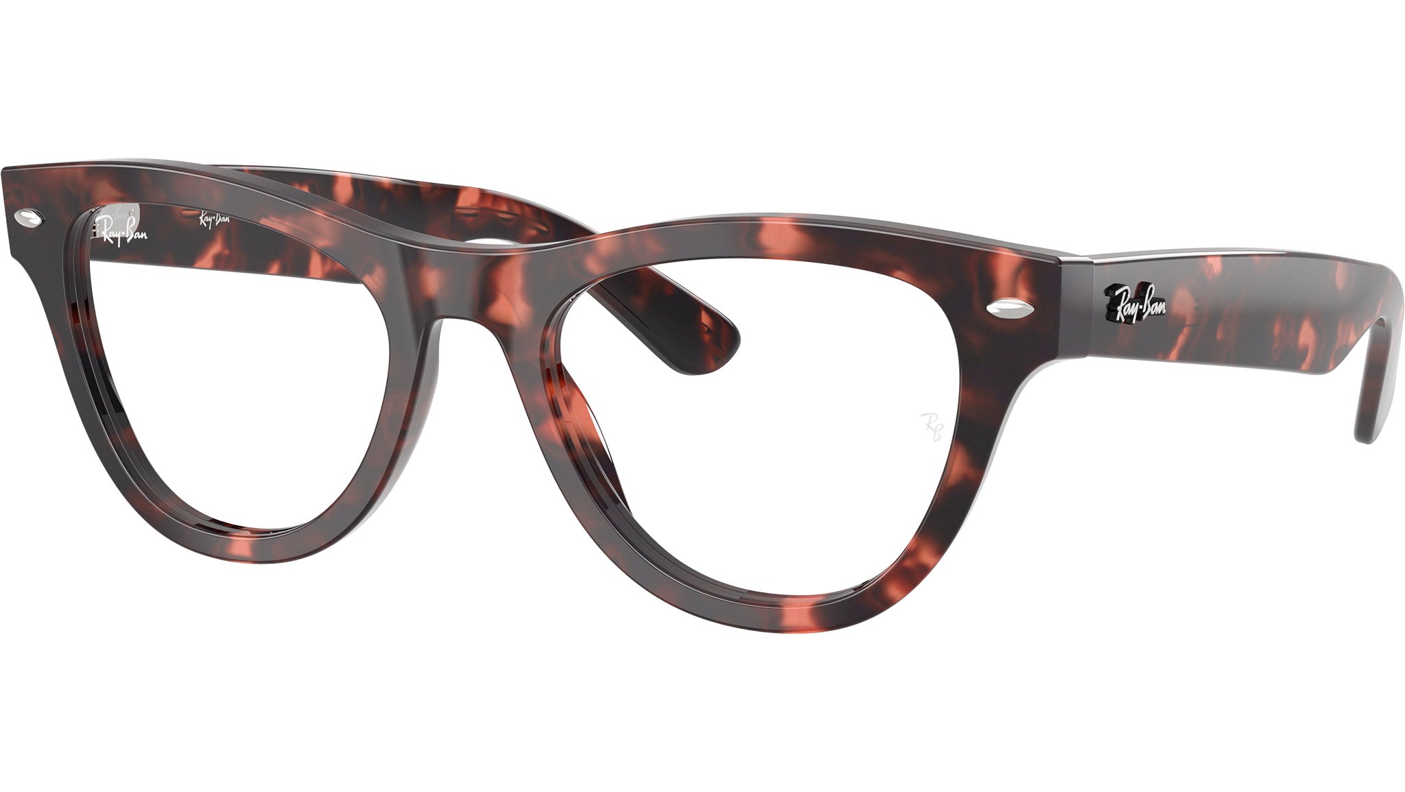 RB5510 Optics 8118