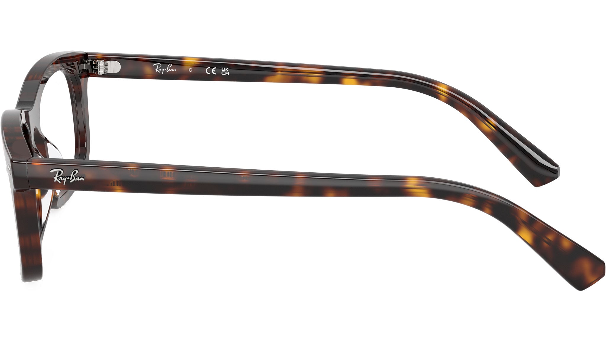 RB5450 Optics 2012