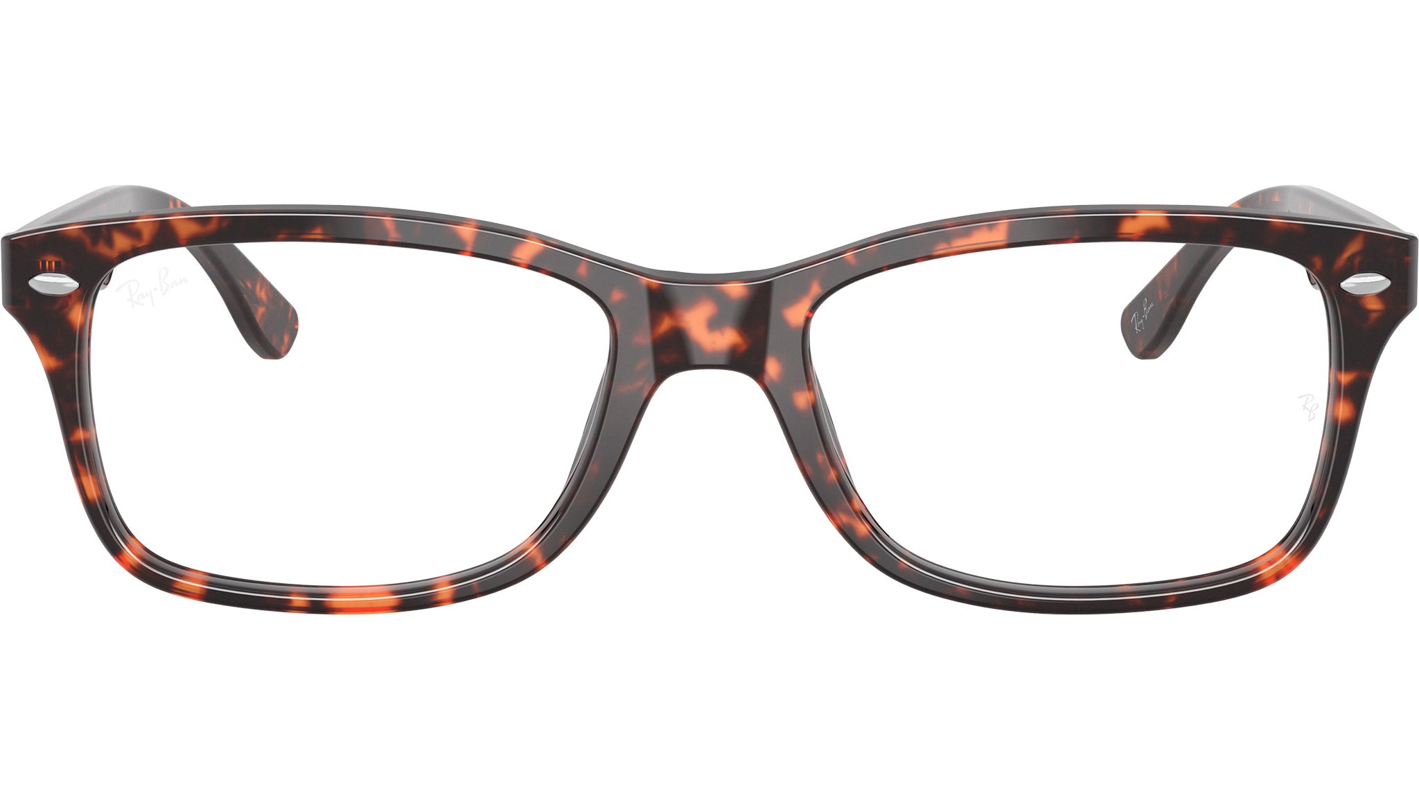 RB5228 Optics 8423