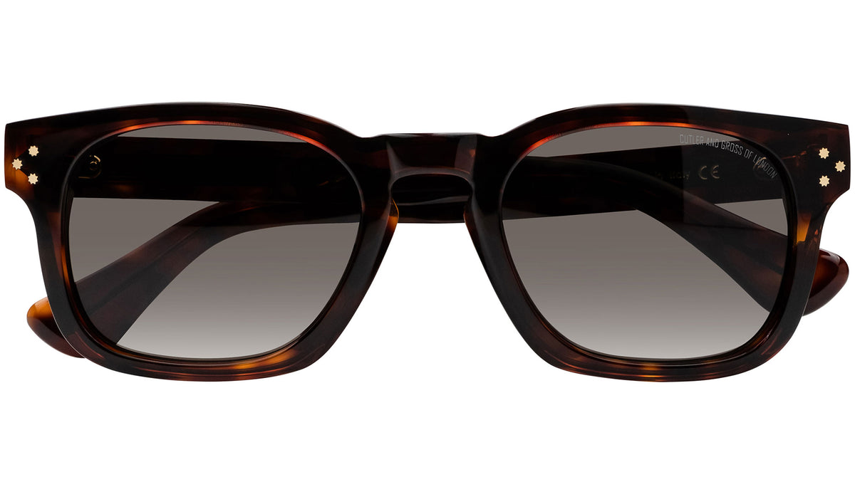 9768 Sun 02 dark turtle