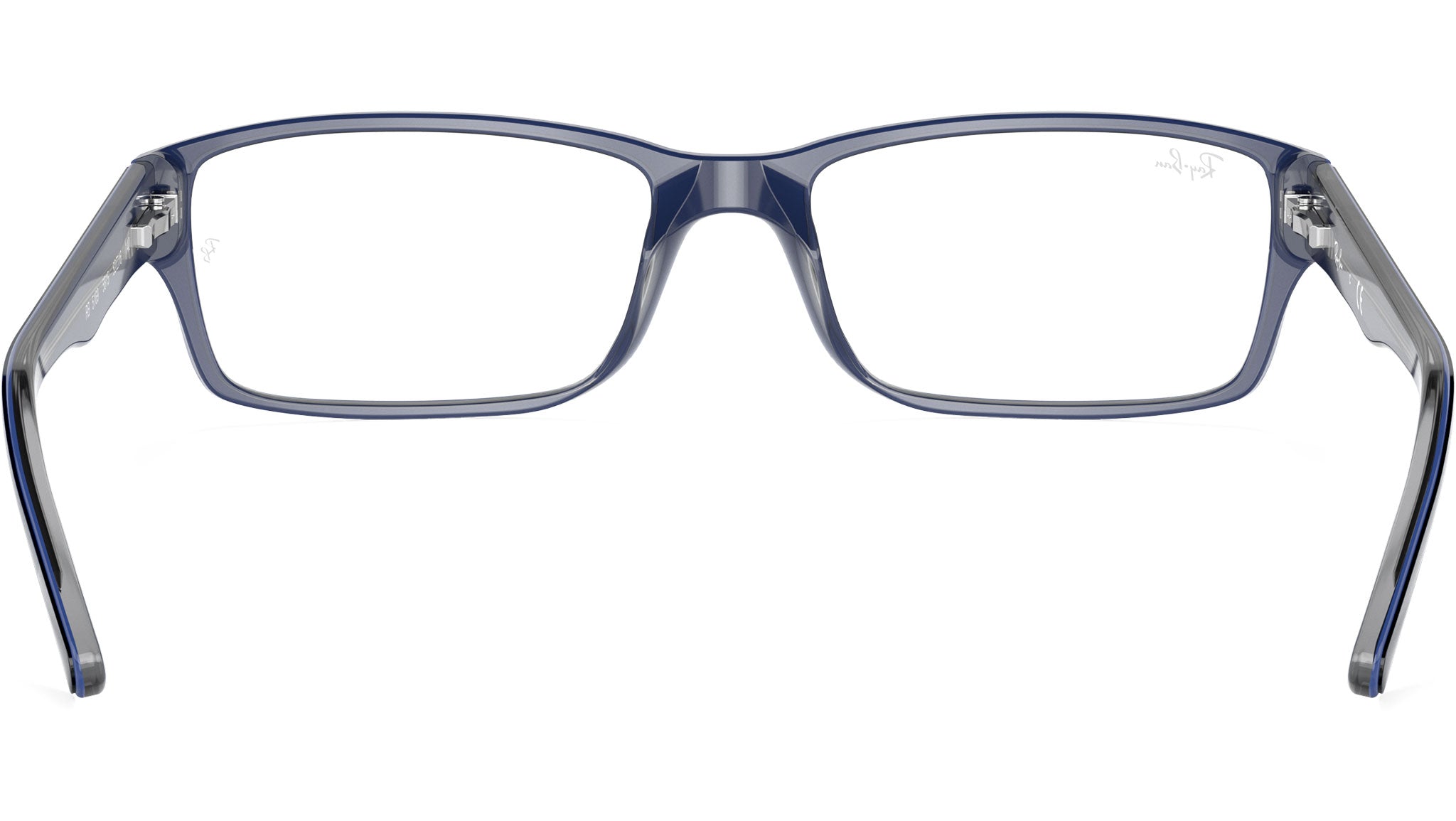 RB5169 Optics 5815