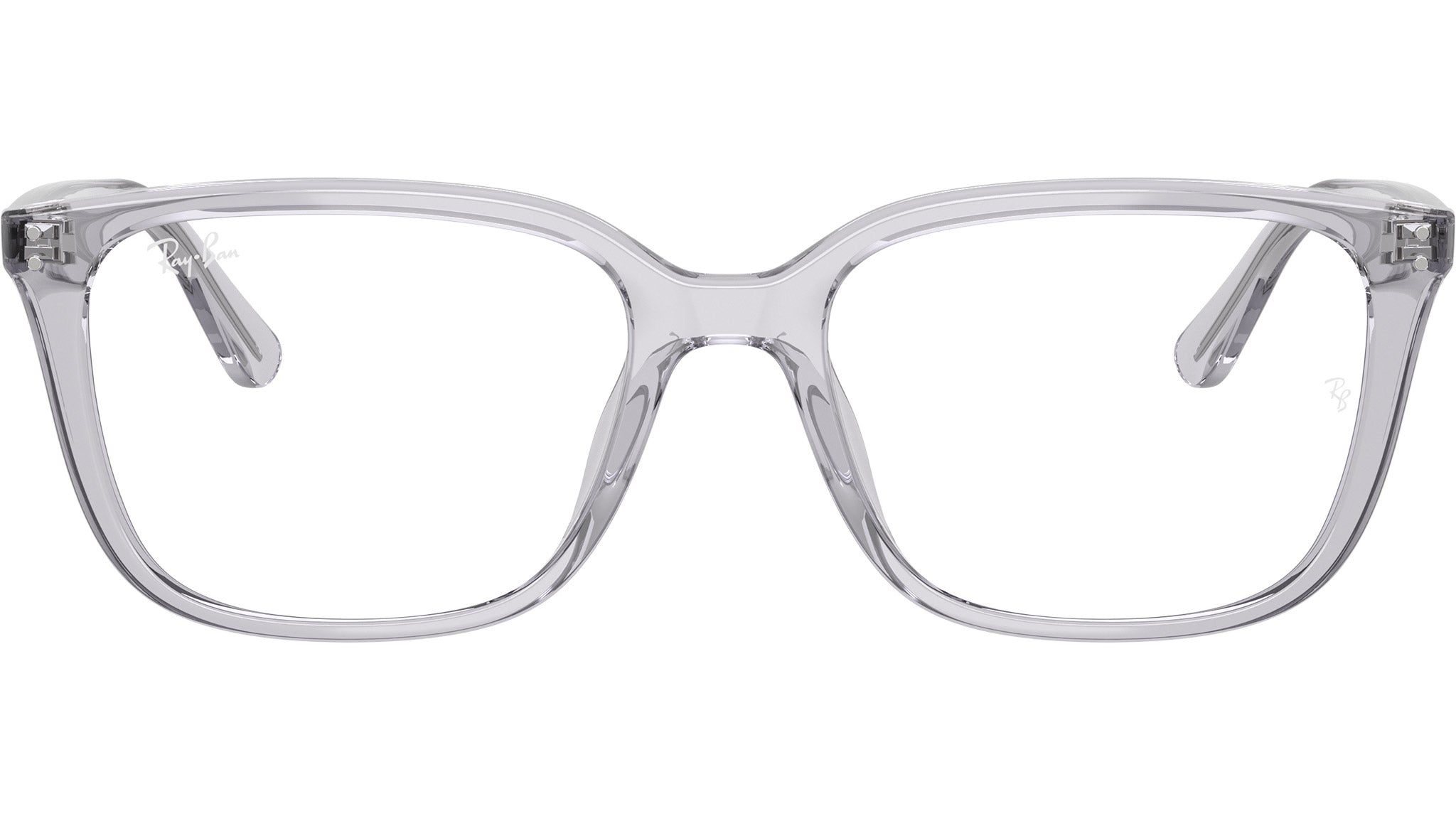 RB7248D Optics 8411