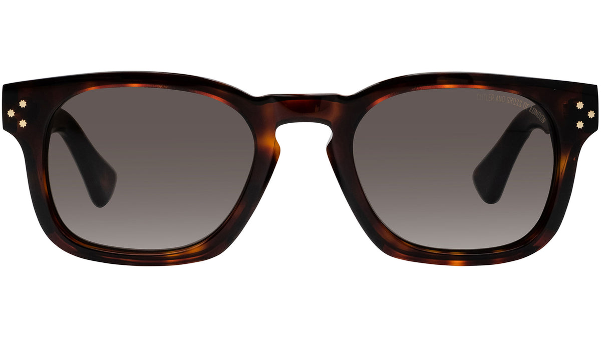 9768 Sun 02 dark turtle