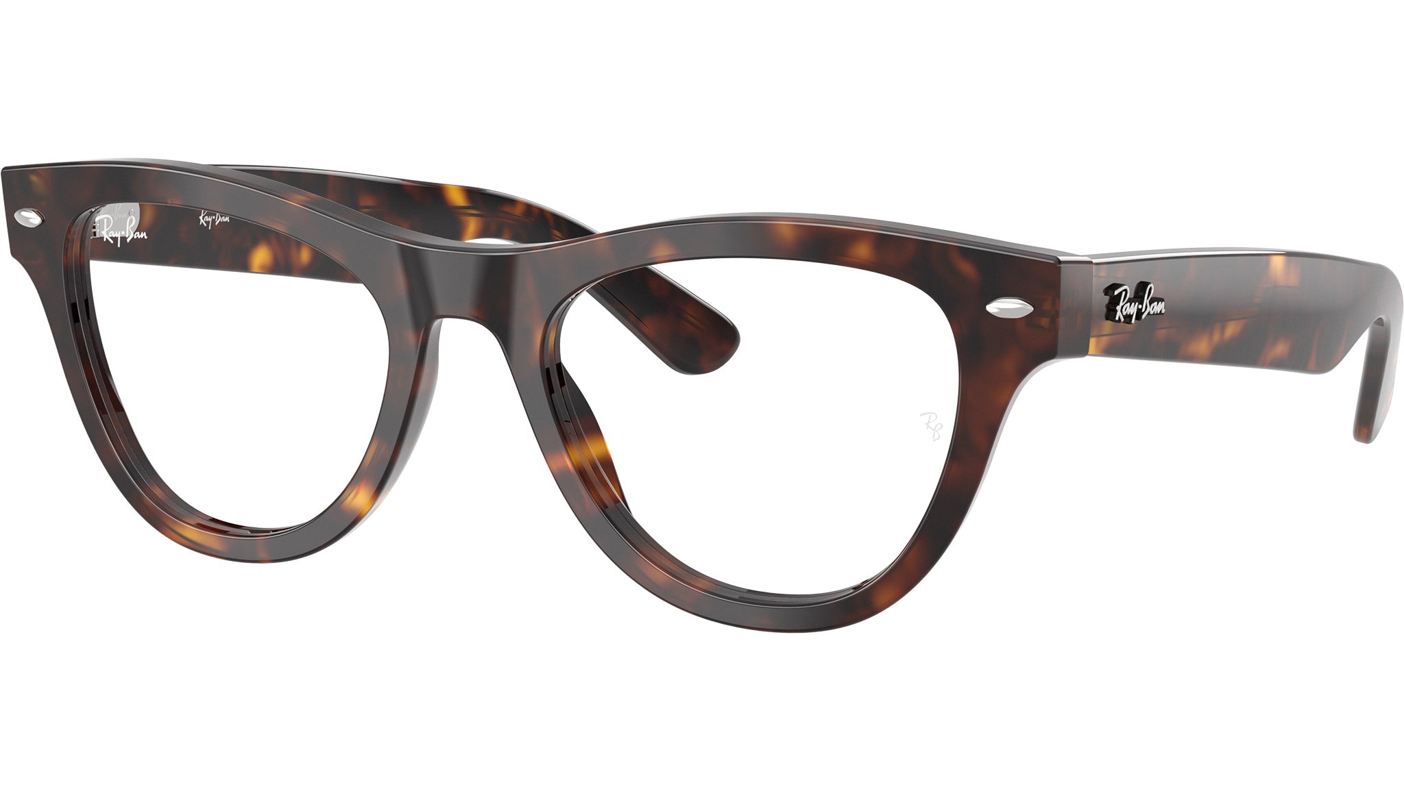 RB5510 Optics 2012