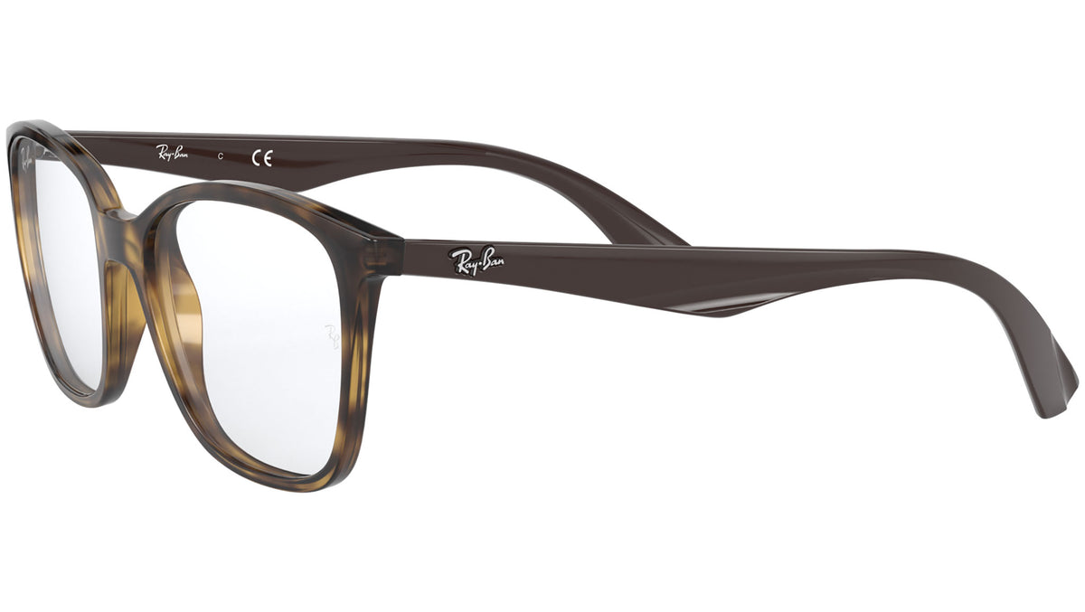 RB7066 shiny havana