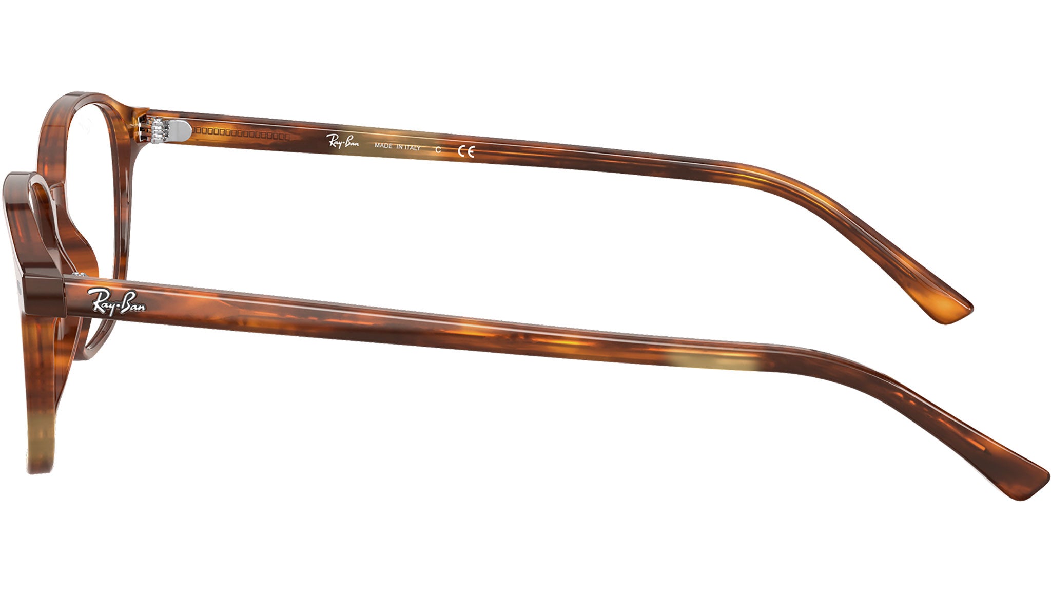 Leonard Optics RB5393 2144