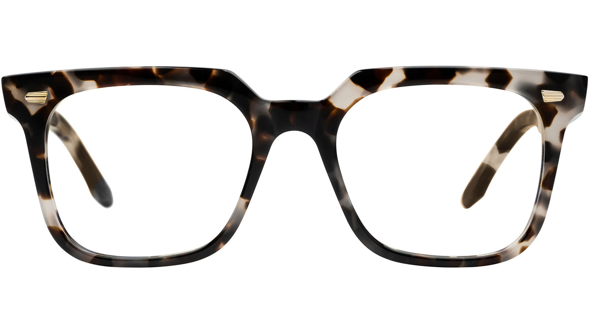 1387 Optical 02