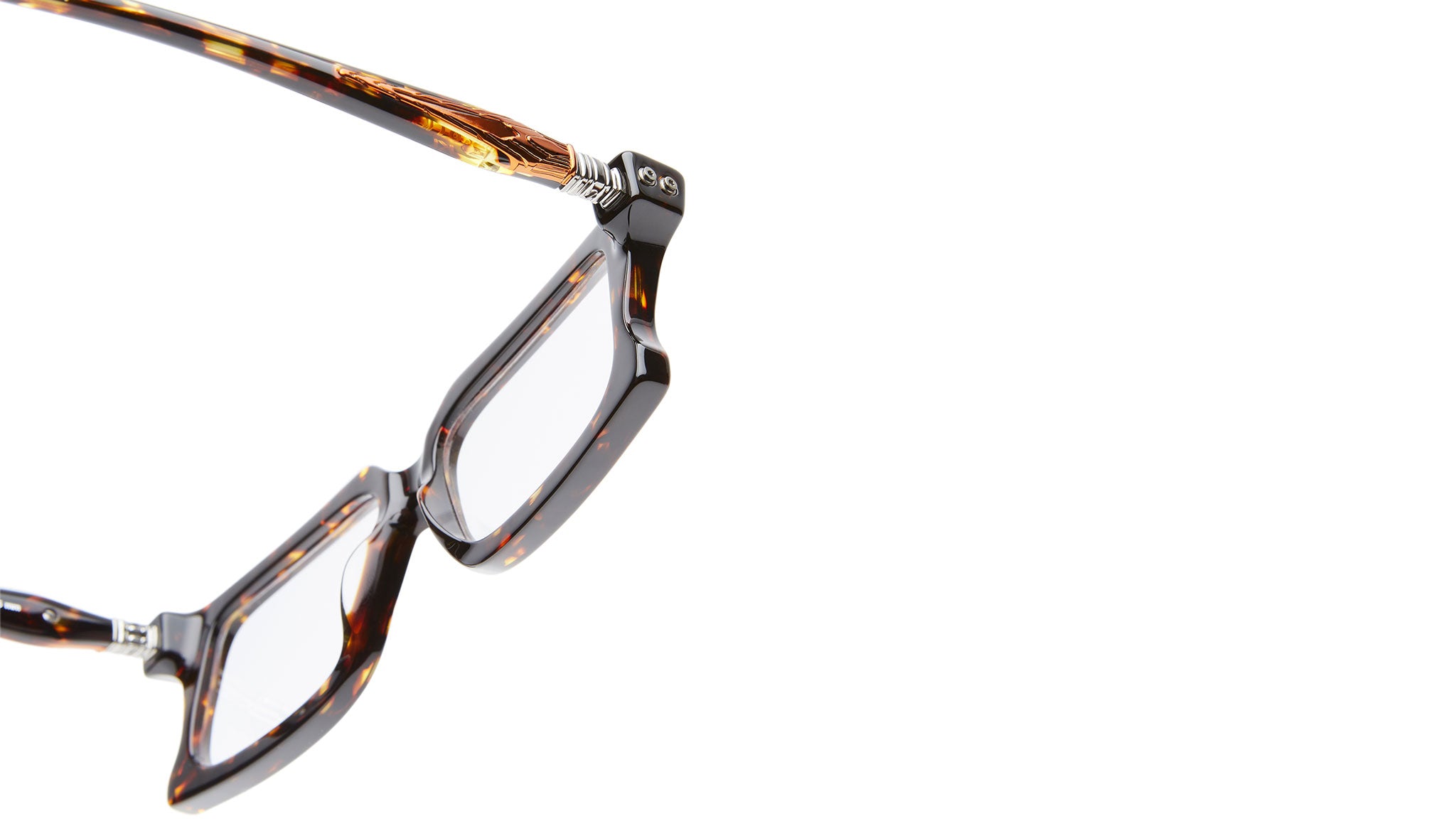D74 TOR Tortoise