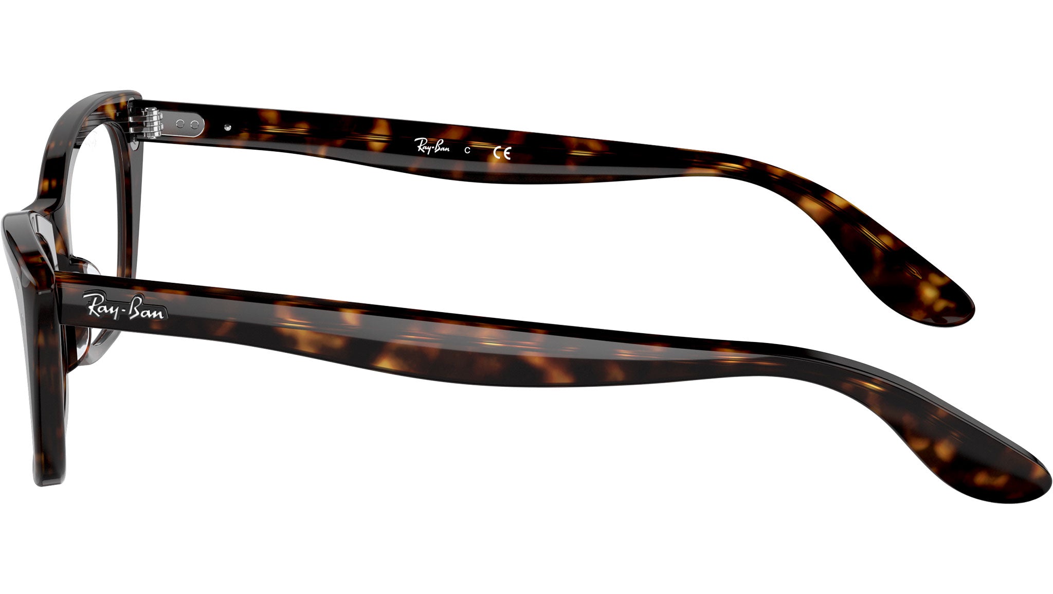 Lady Burbank Optics RB5499 2012
