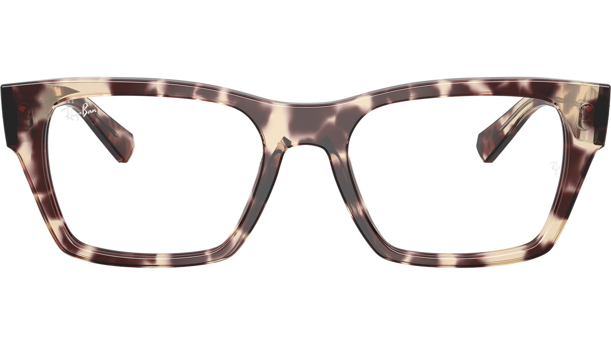 RB5448 Optics 8460