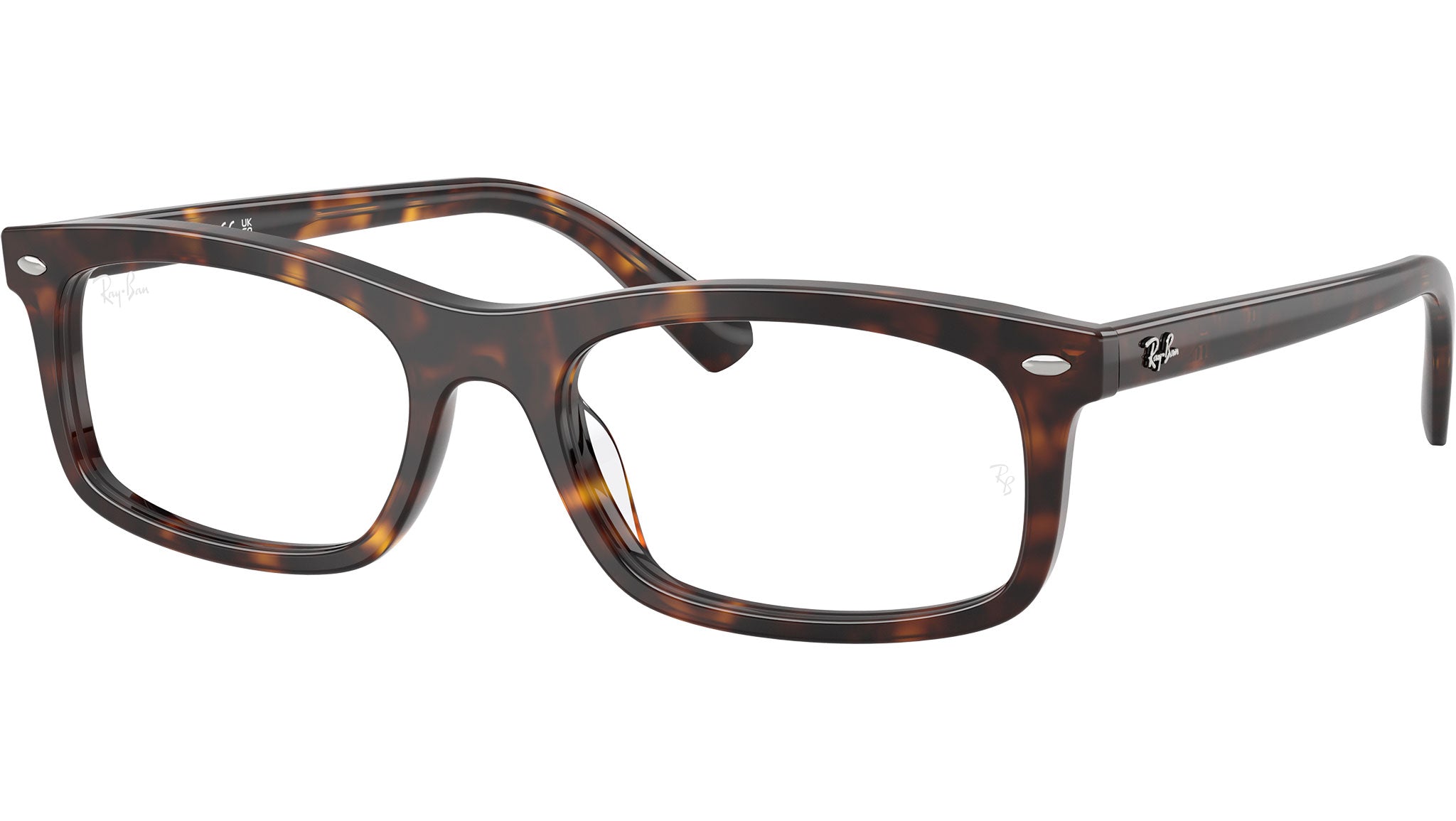 RB5450 Optics 2012