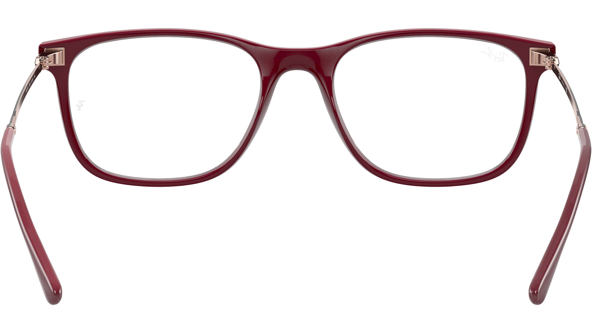 RB7244 Optics 8099