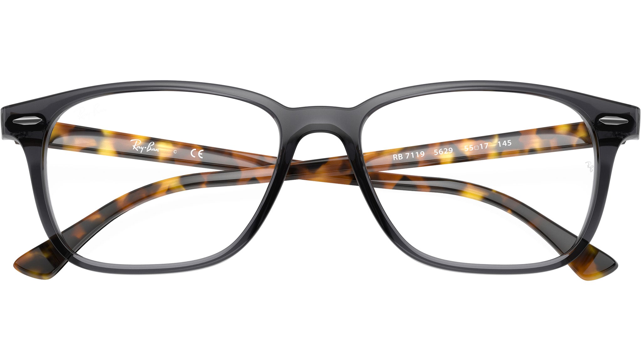 RB7119 Optics 5629