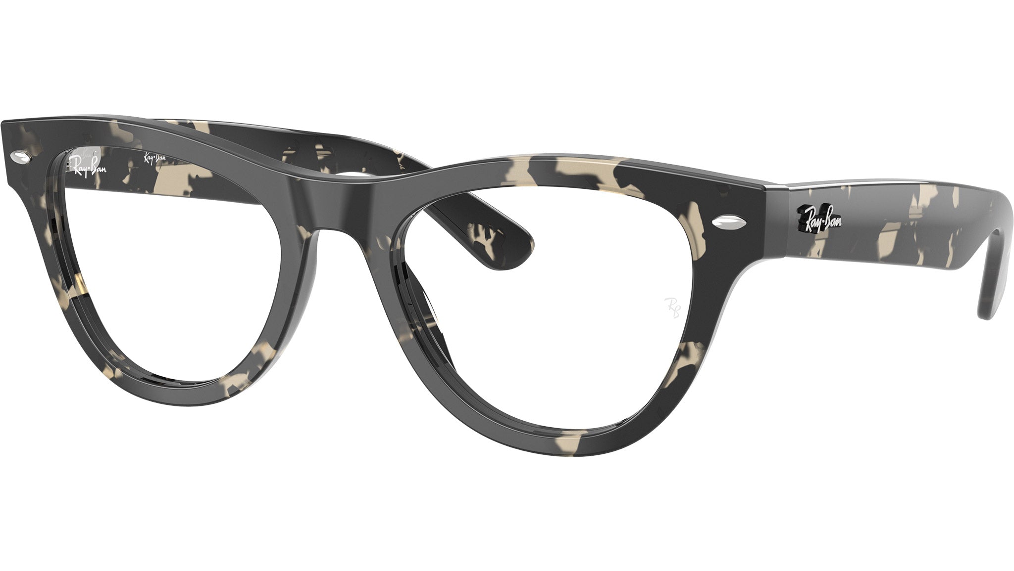 RB5510 Optics 8117