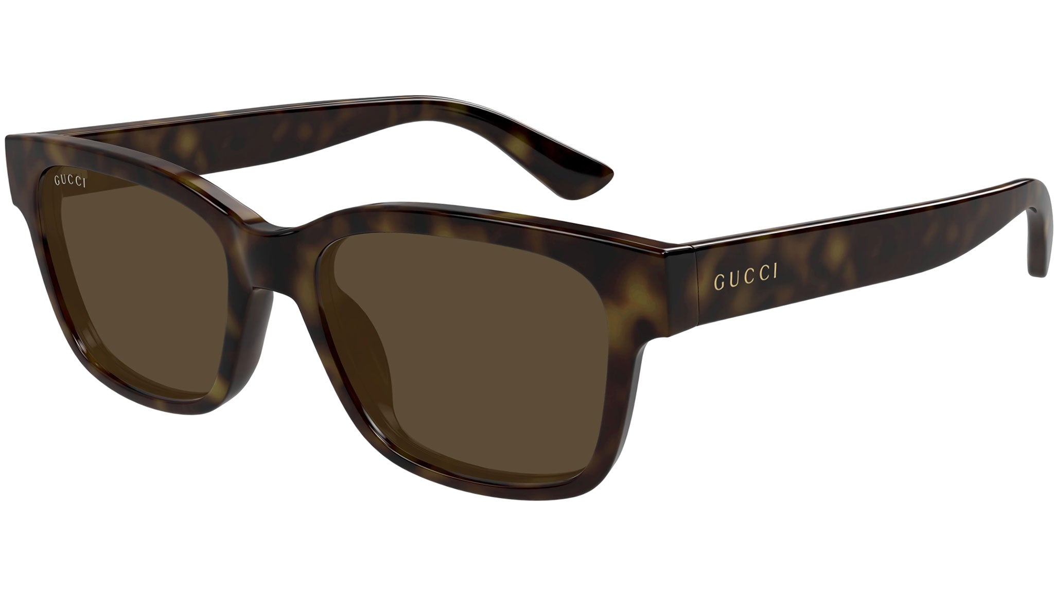 GG1716S 002