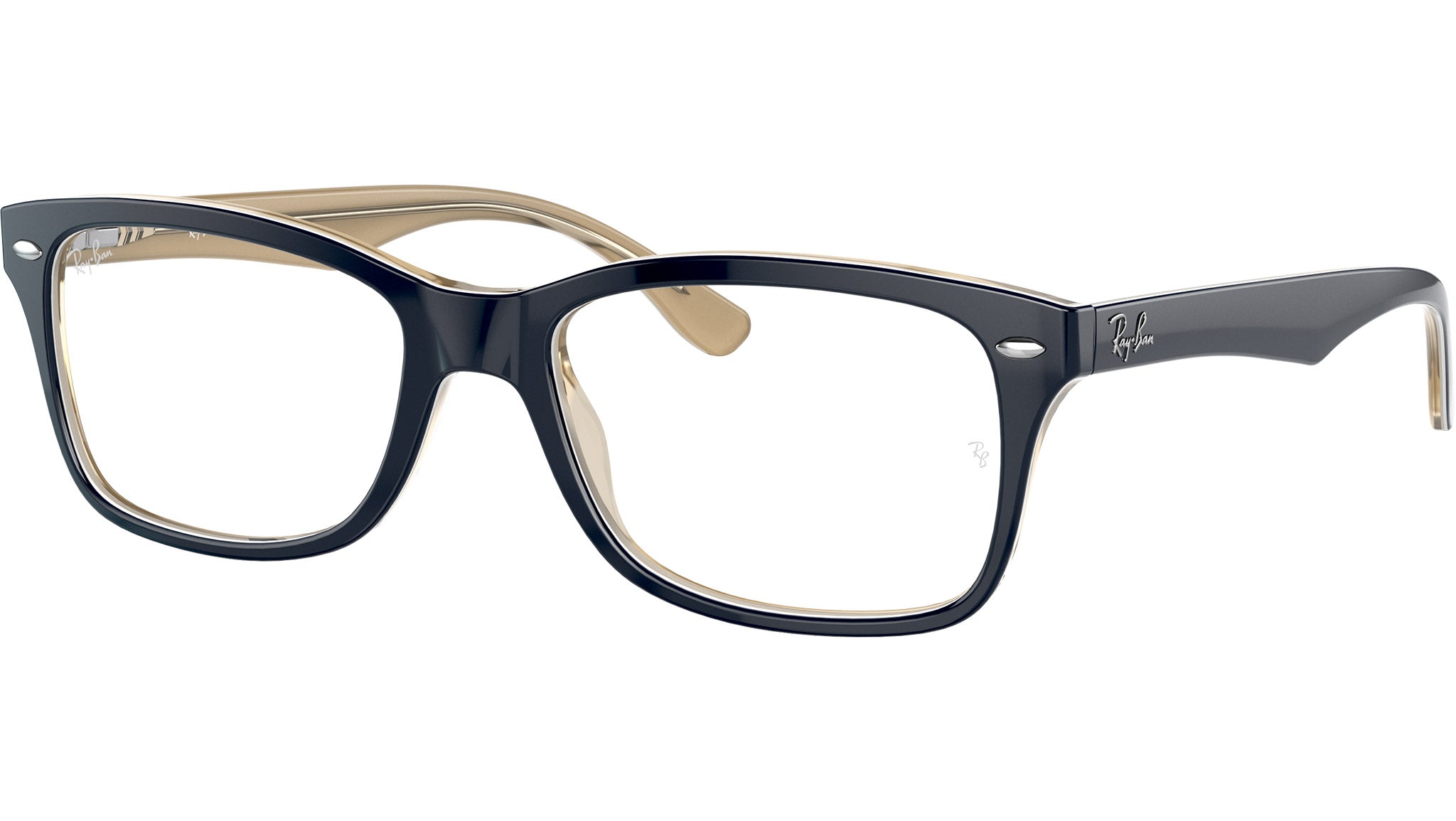 RB5228 Optics 8119