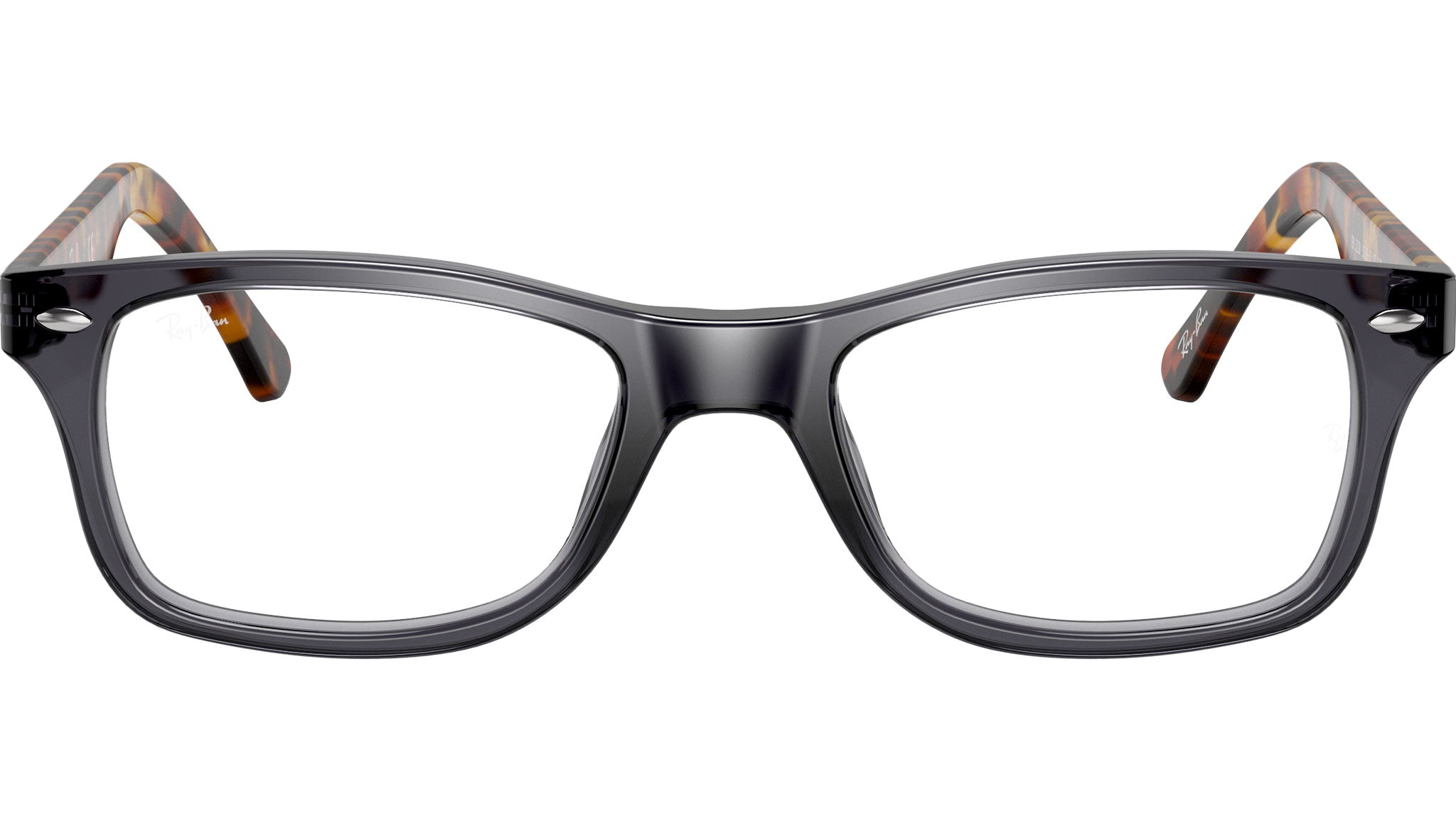 RB5228 Optics 5629