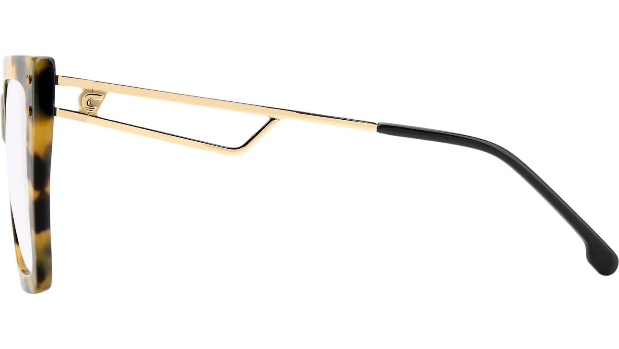 3101 EPZ