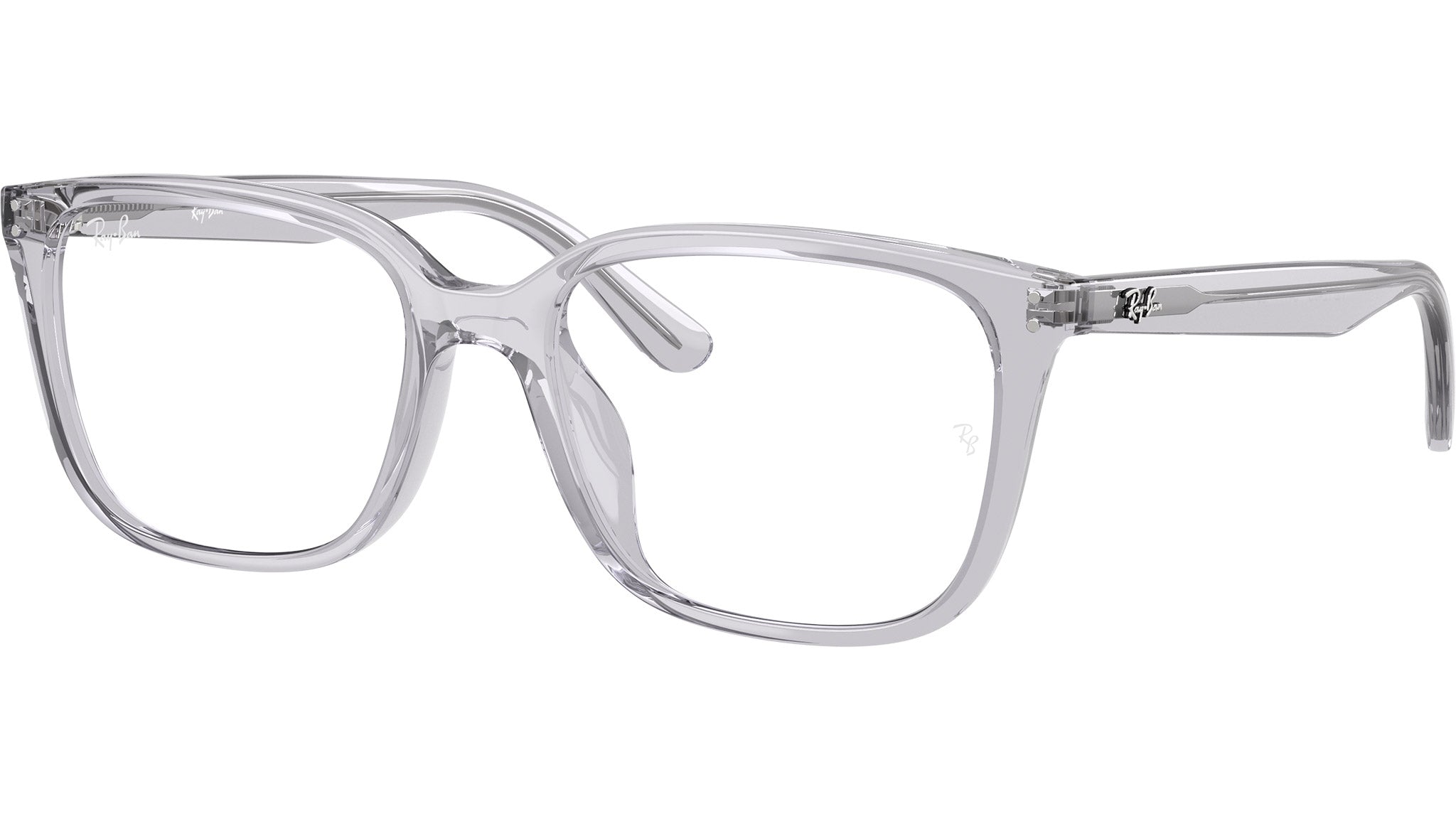 RB7248D Optics 8411