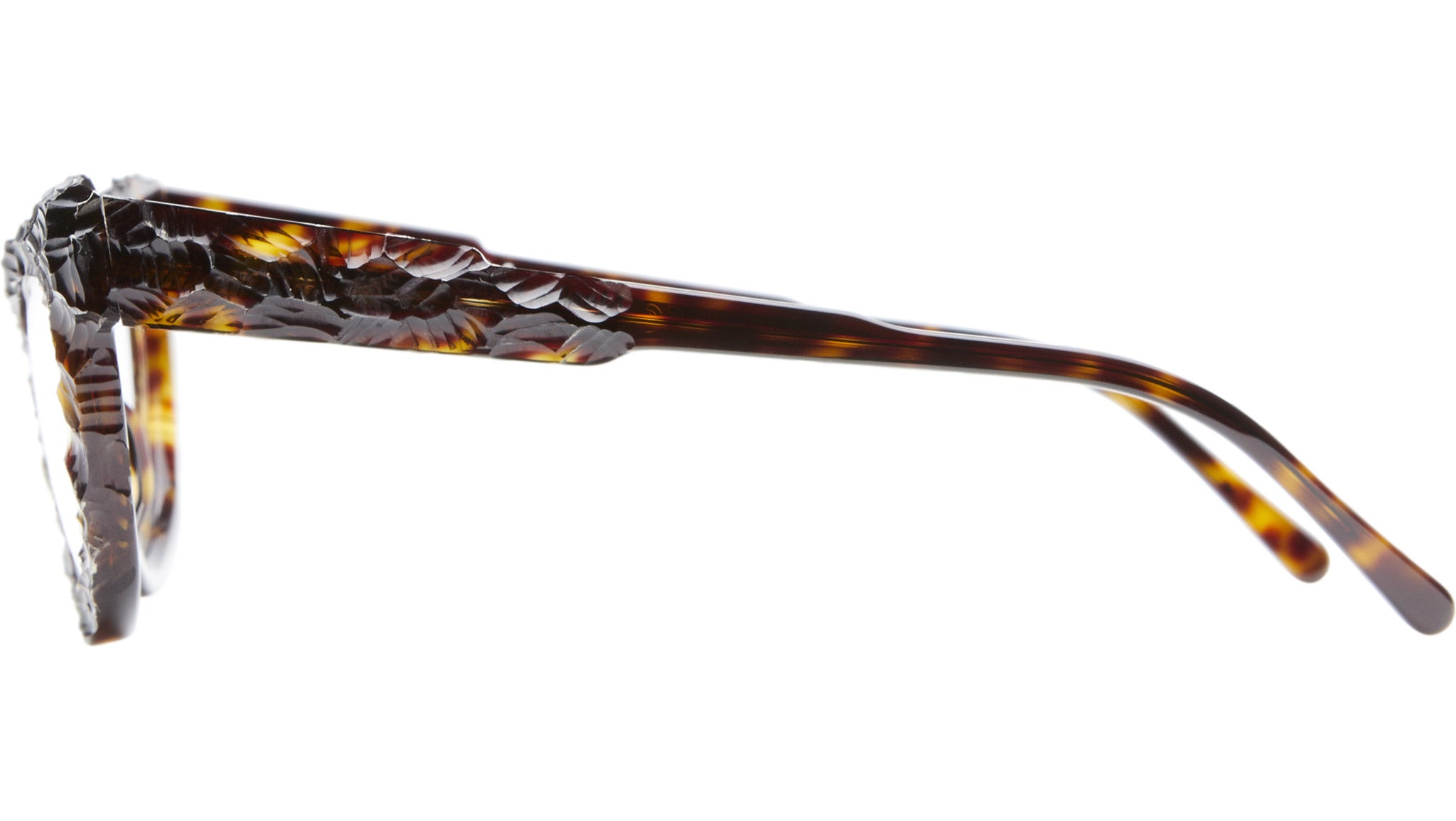 K39 TS RH Rhizome