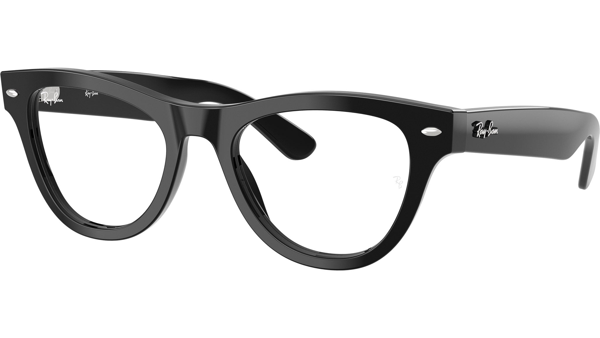 RB5510 Optics 2000