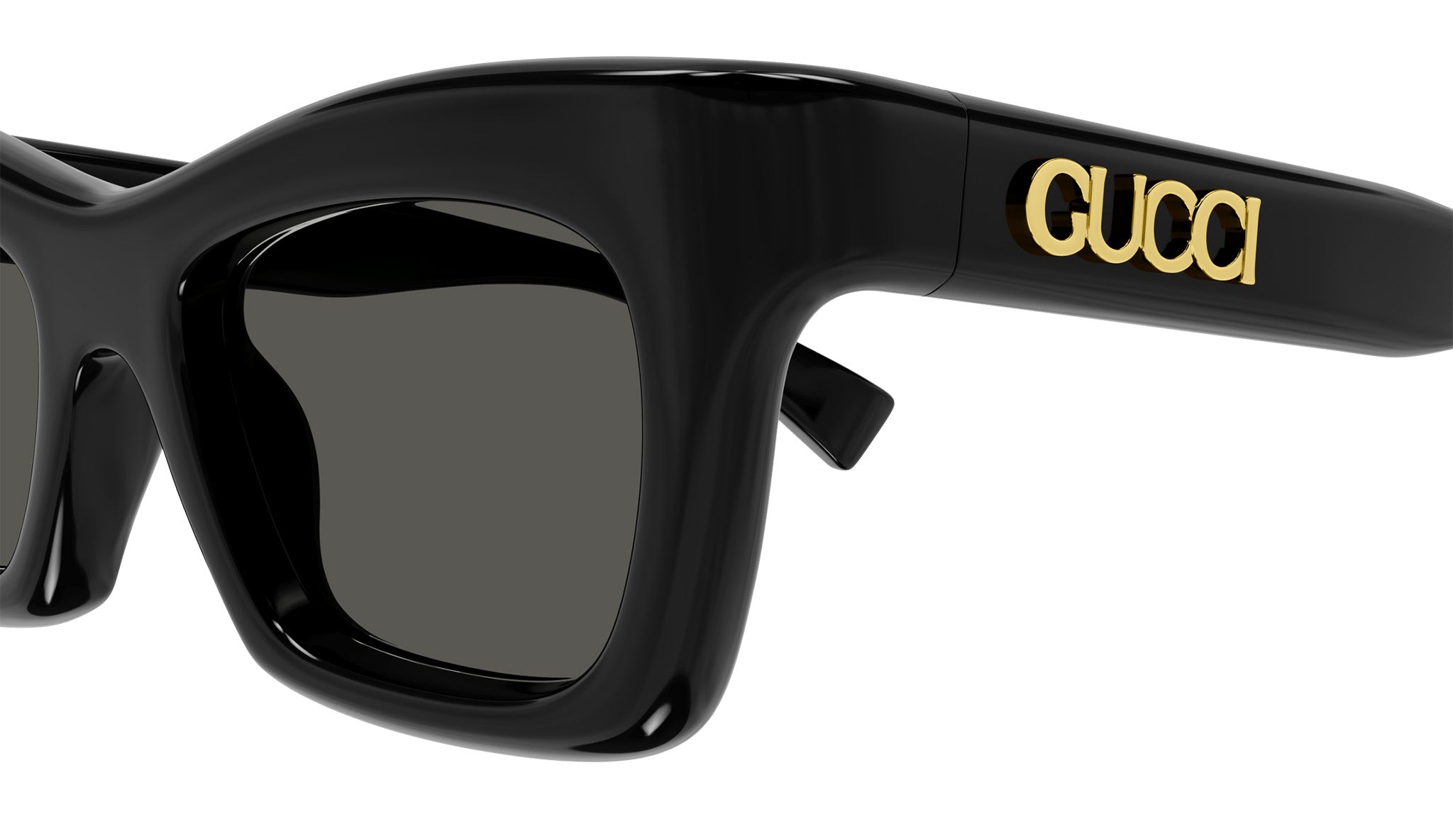 GG1773S 001