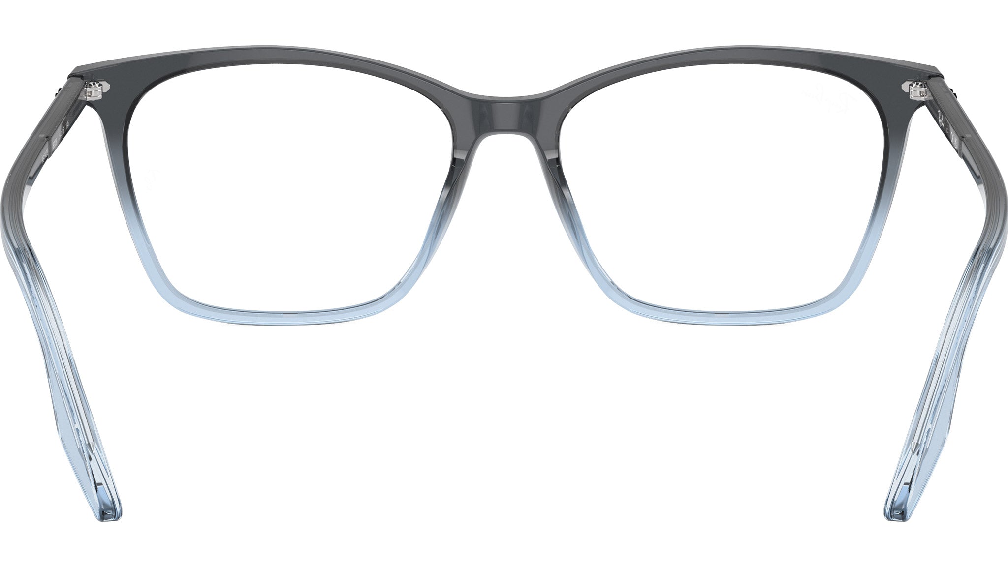 RB5422 Optics 8309