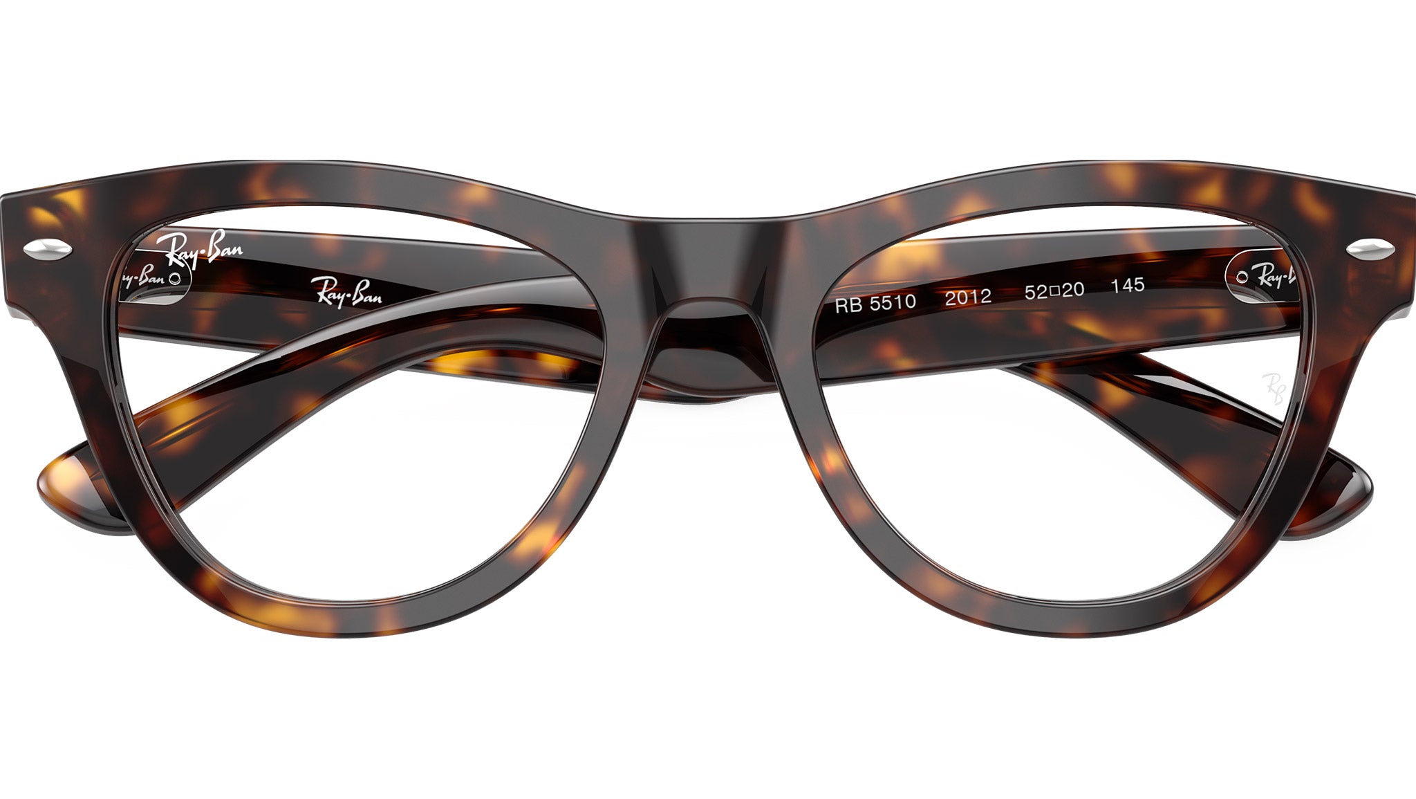 RB5510 Optics 2012