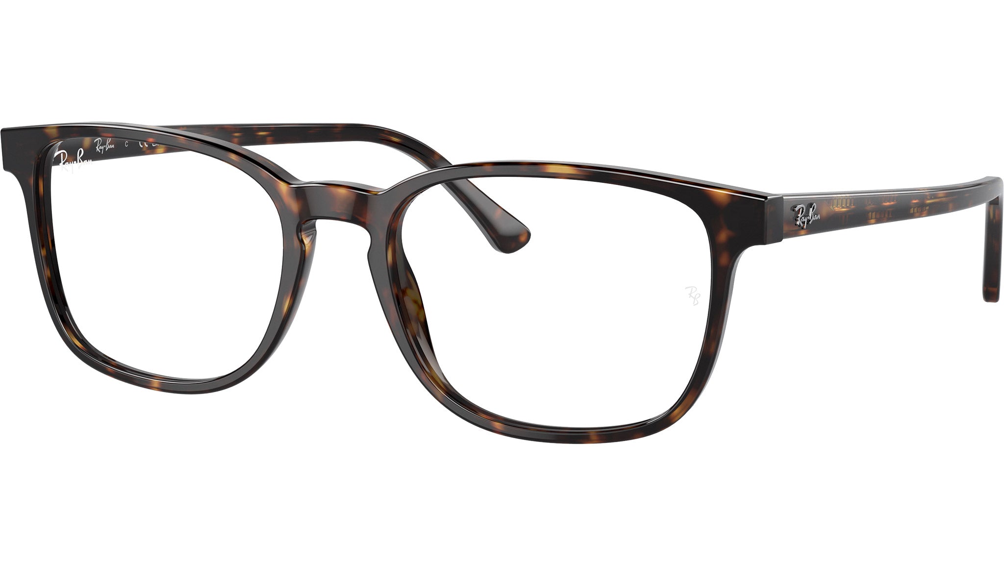 RB5418 Optics 2012