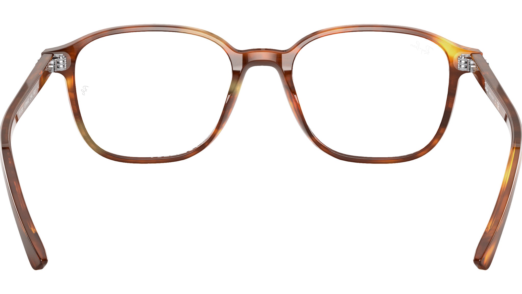 Leonard Optics RB5393 2144