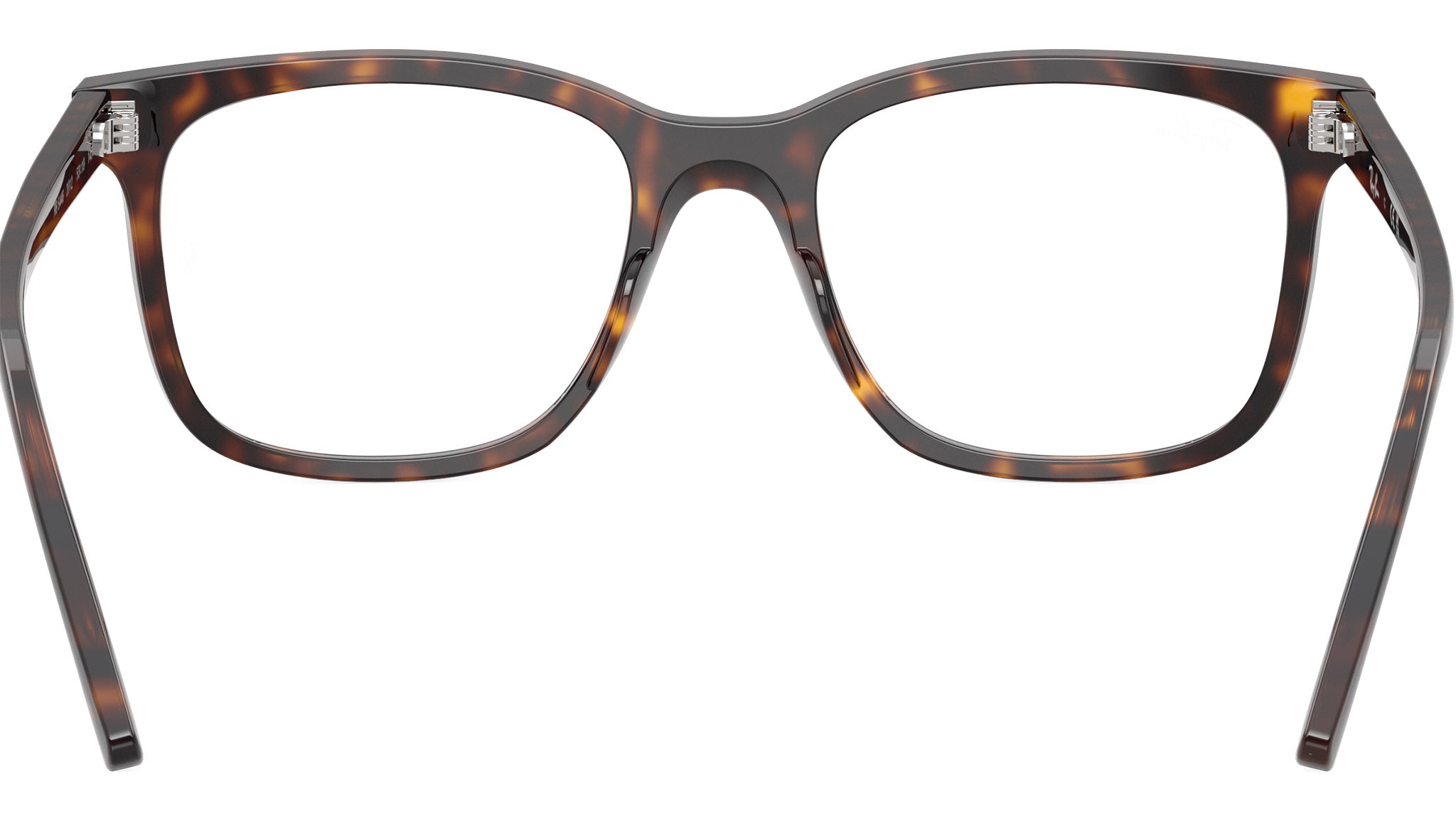RB5446 Optics 2012