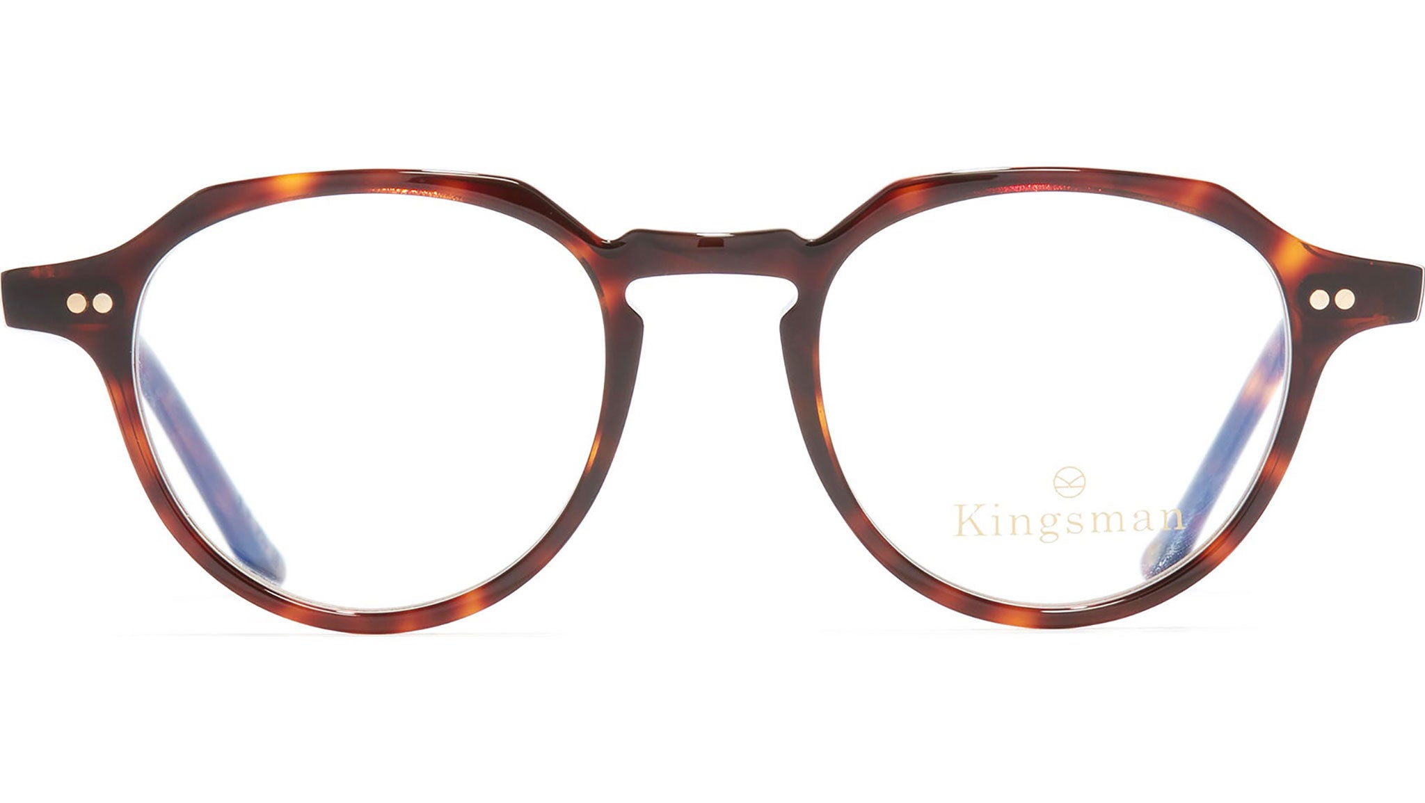 1313 Optical 02