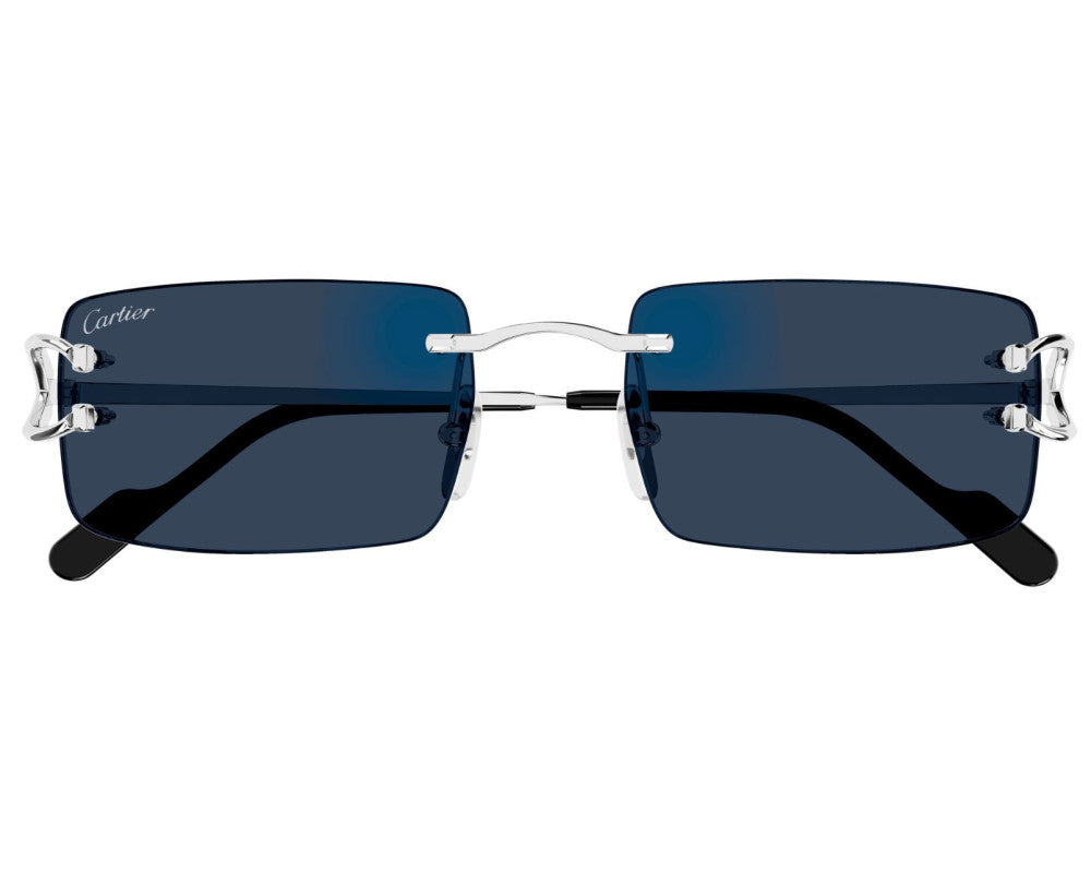 CARTIER CT0488S