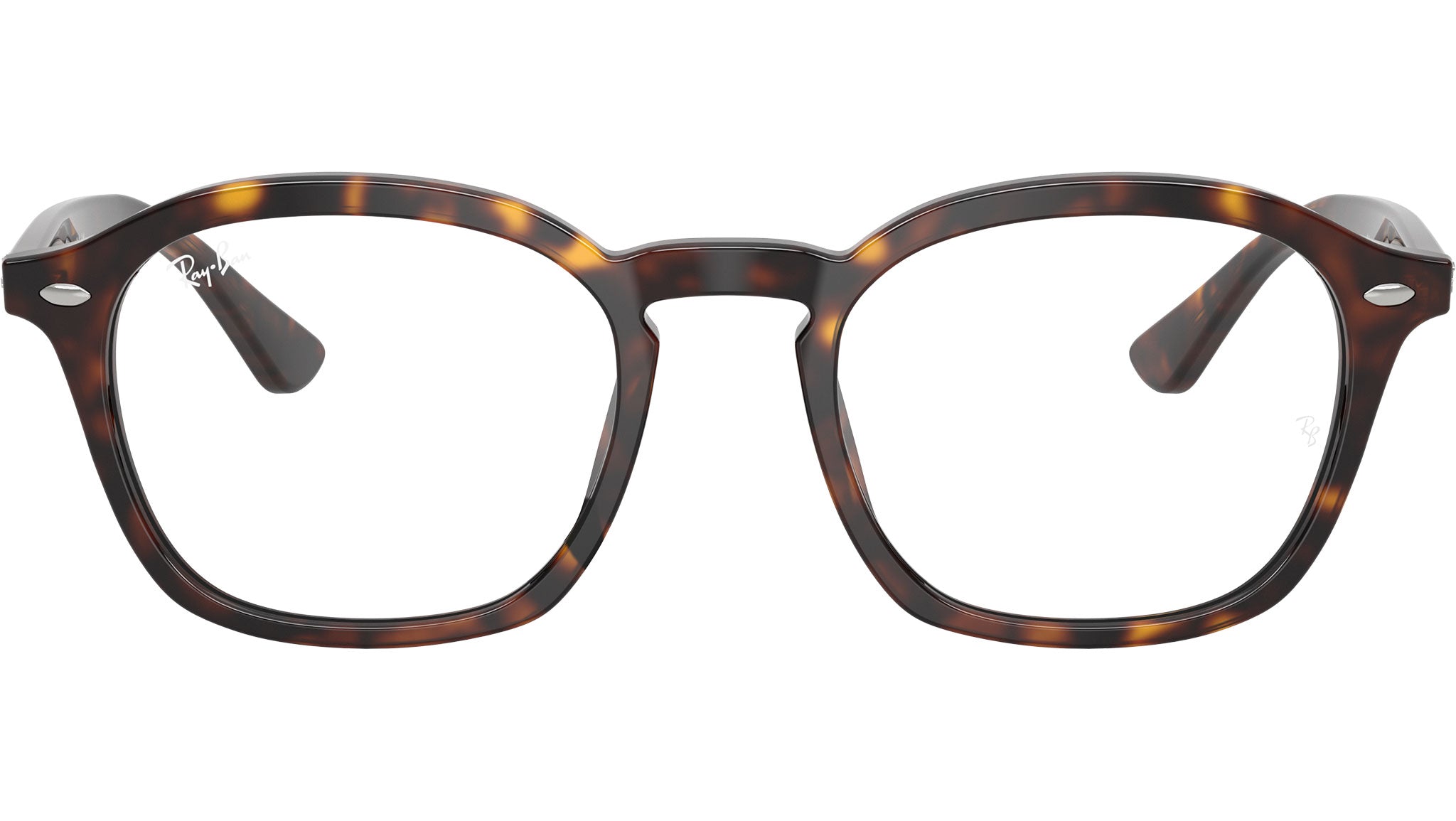 RB5451 Optics 2012