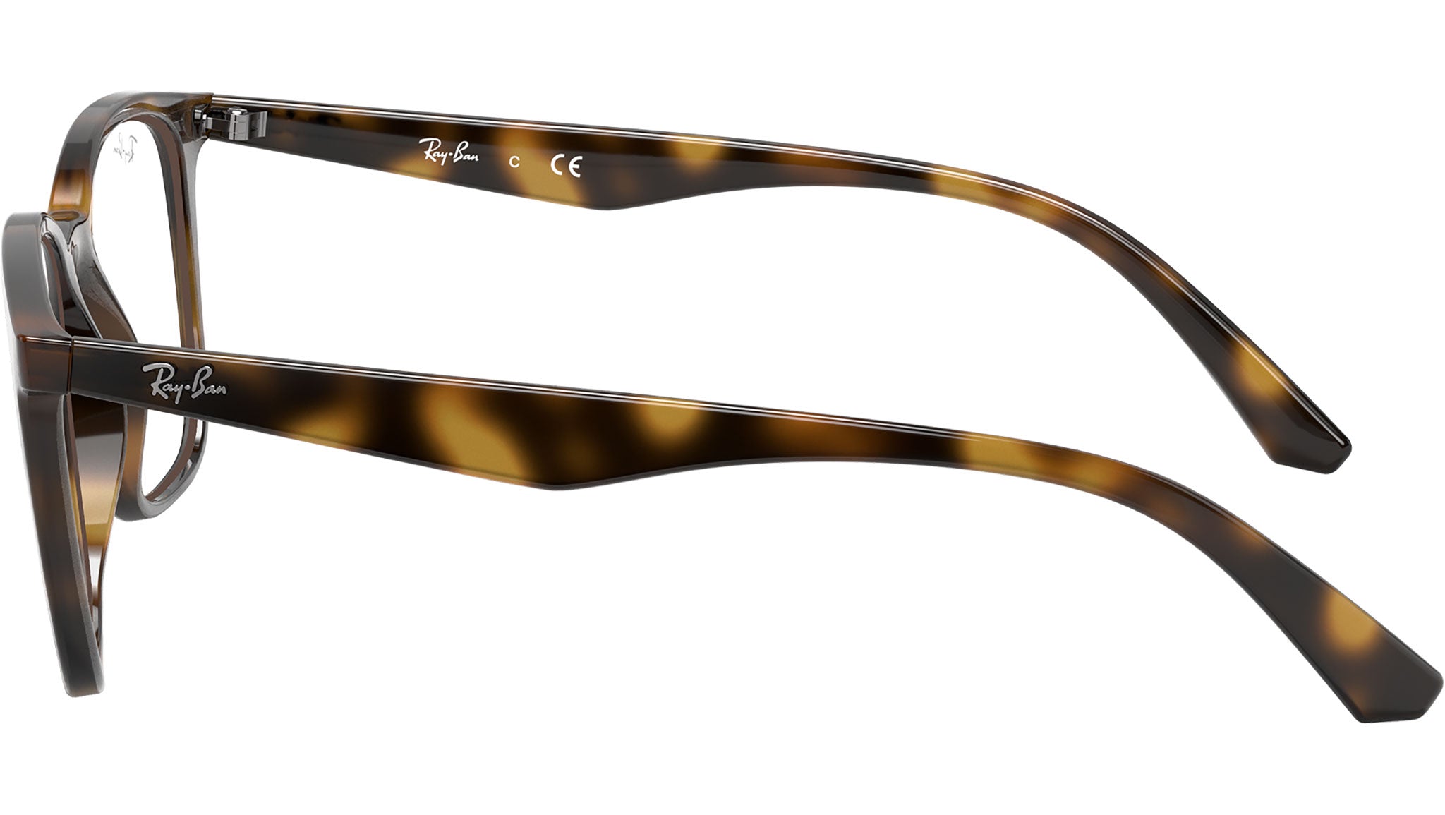 RB7177 Optics 2012