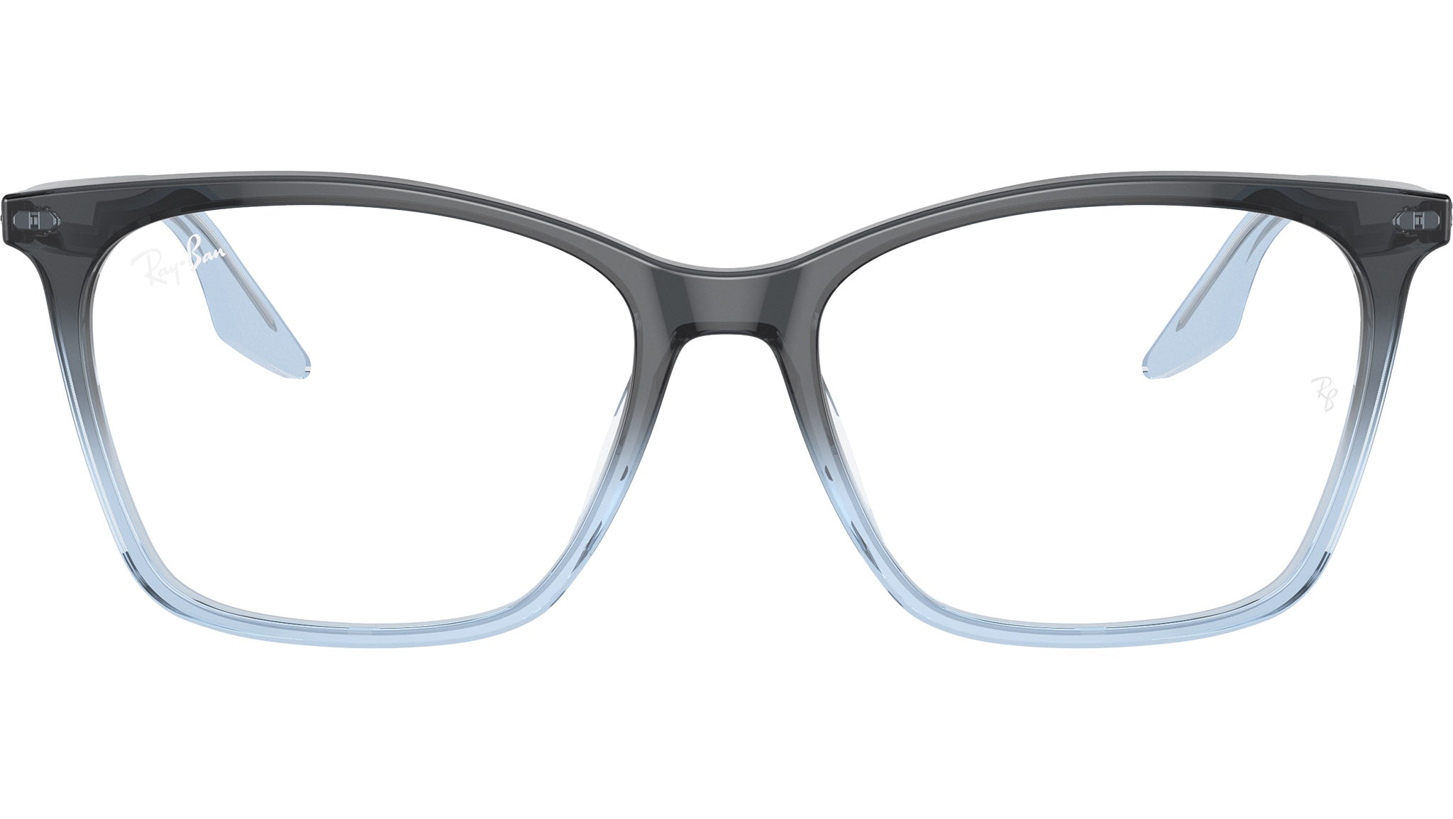 RB5422 Optics 8309
