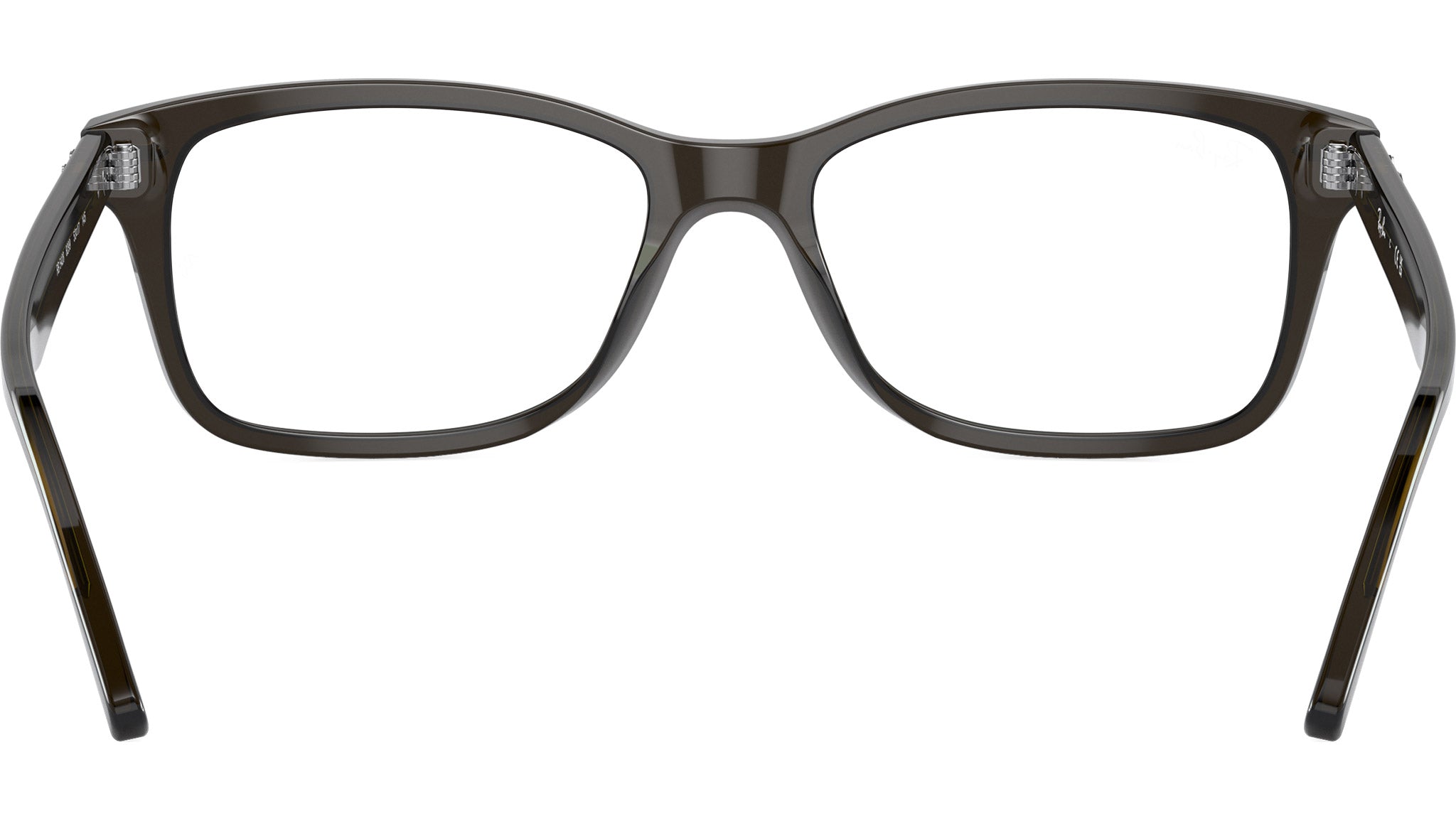 RB5428 Optics 8299