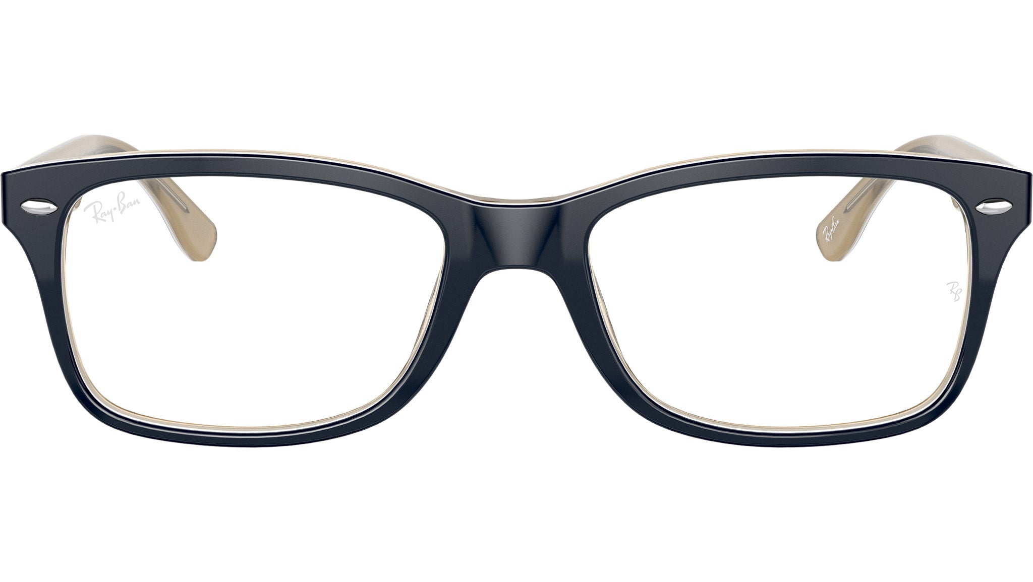 RB5228 Optics 8119