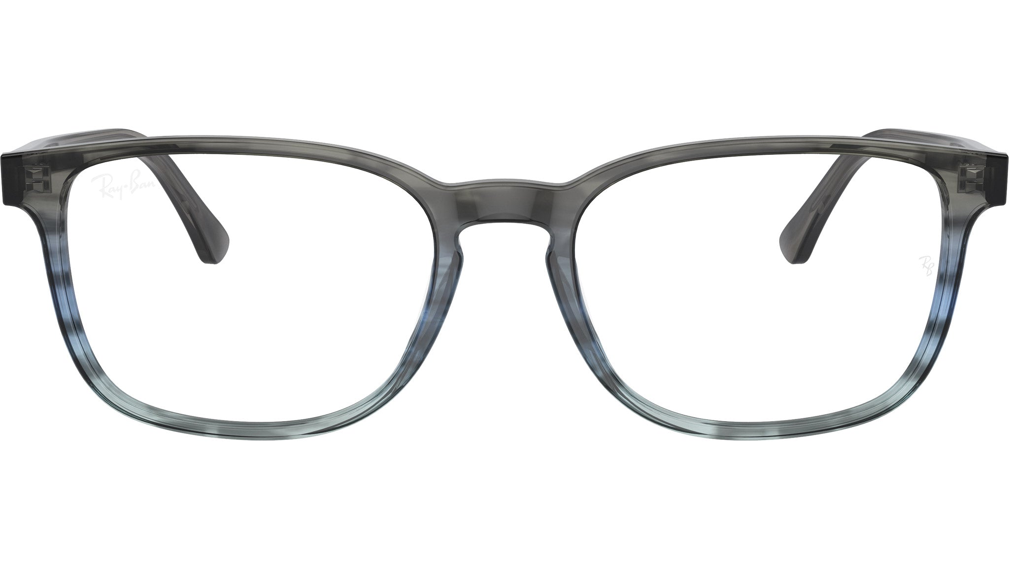 RB5418 Optics 8254