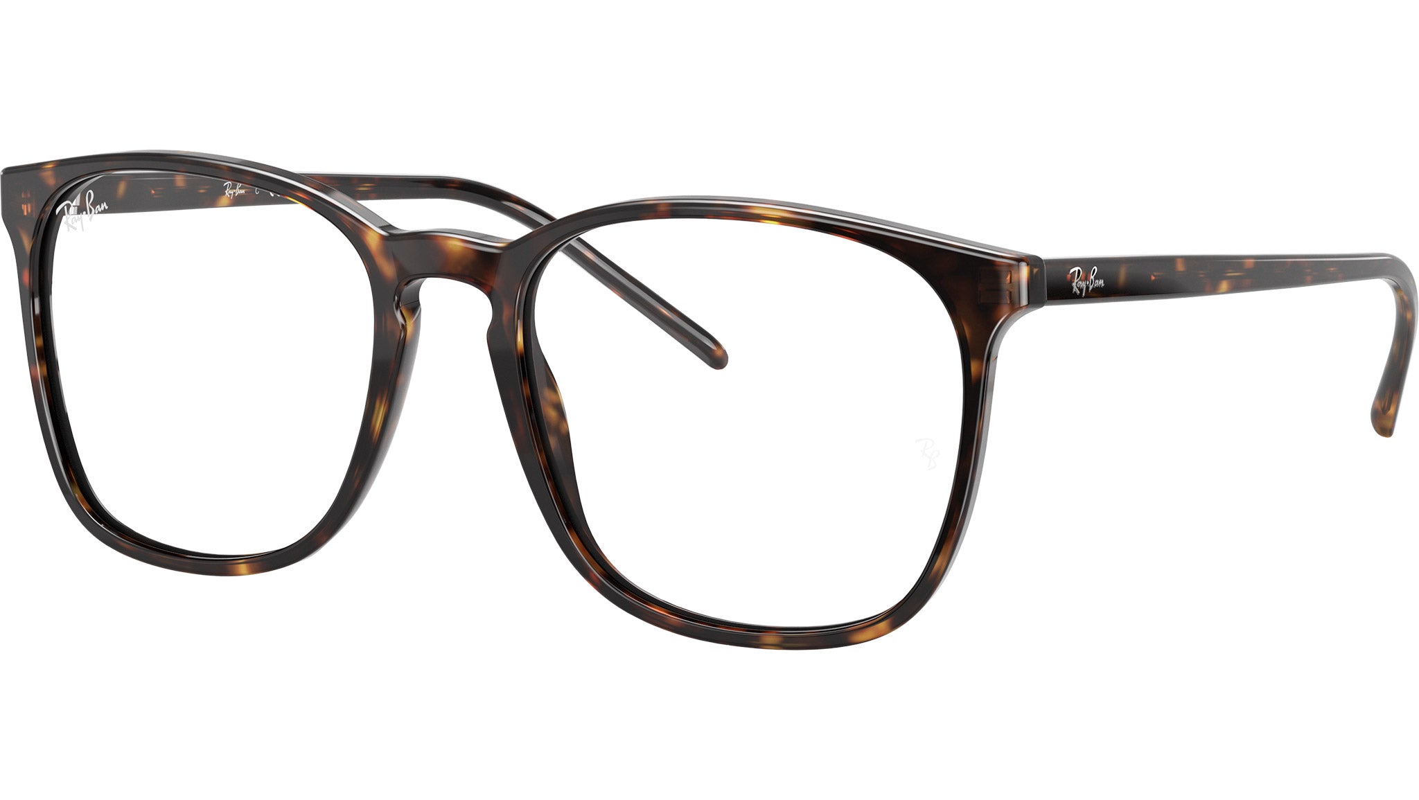 RB5387 Optics 2012