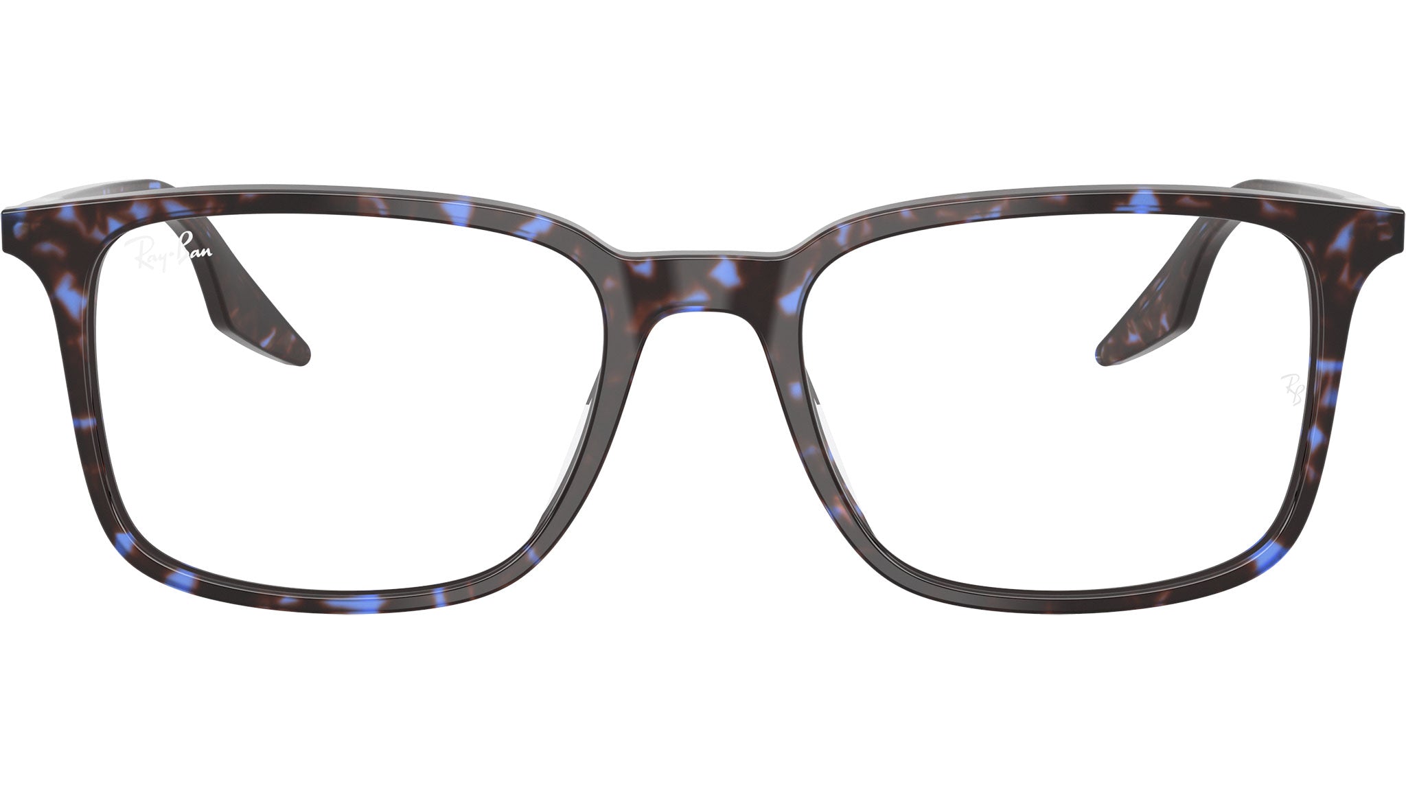 RB5421 Optics 8424