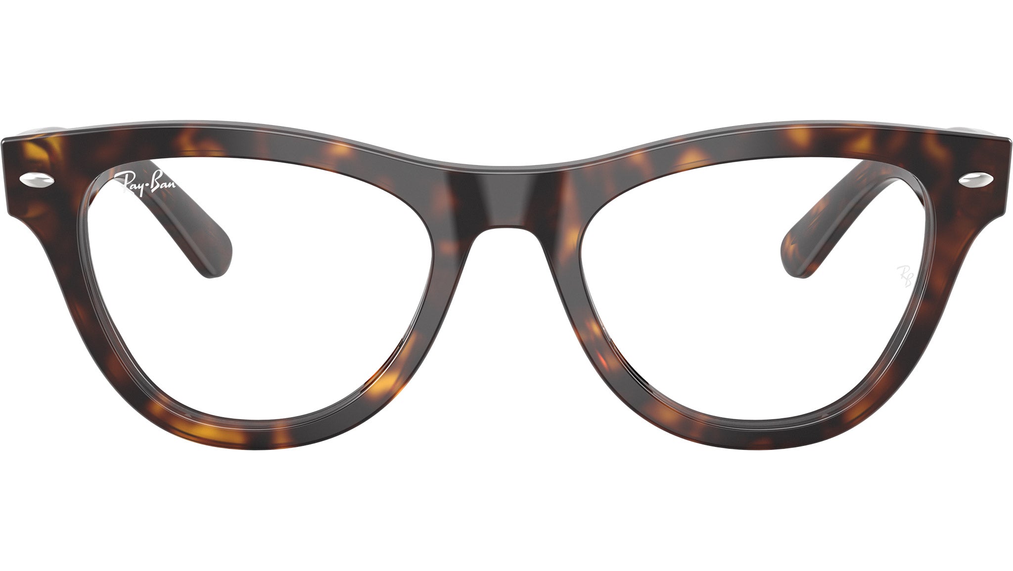 RB5510 Optics 2012