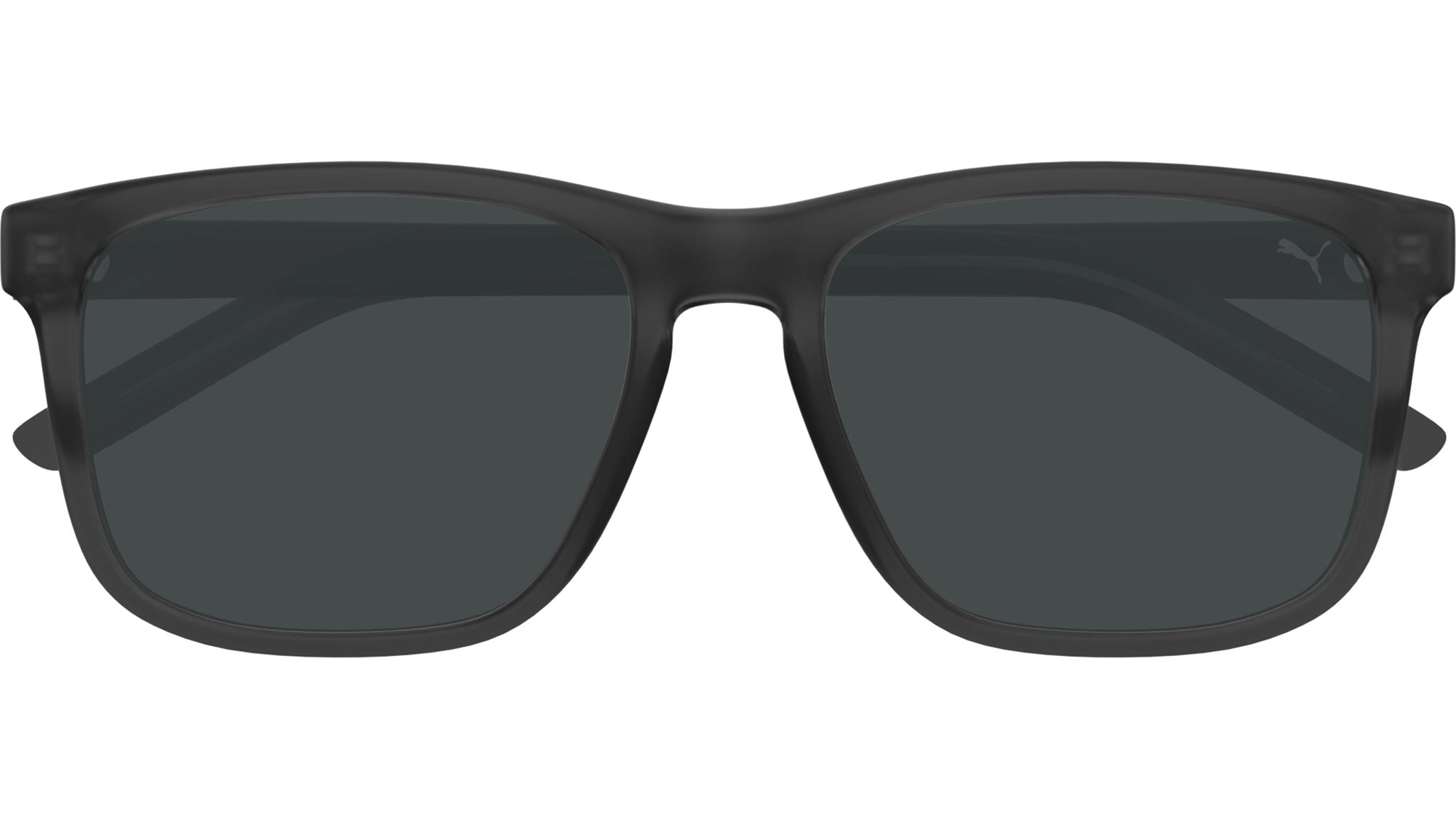 PU0494S 003