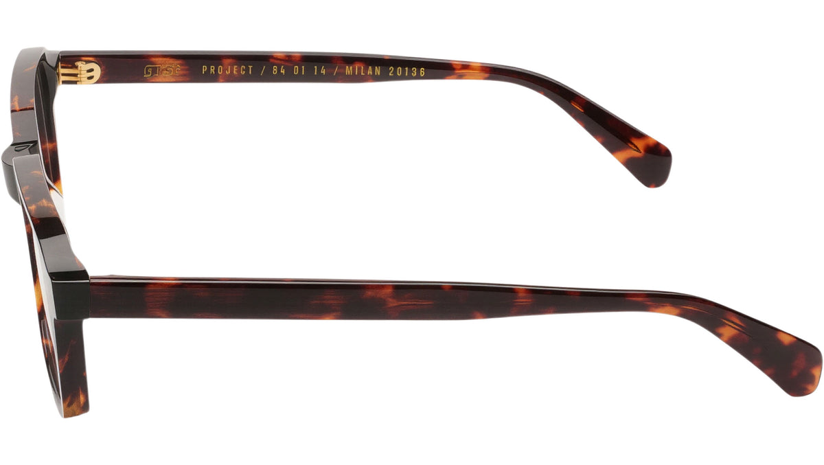 MAIV Classic Havana